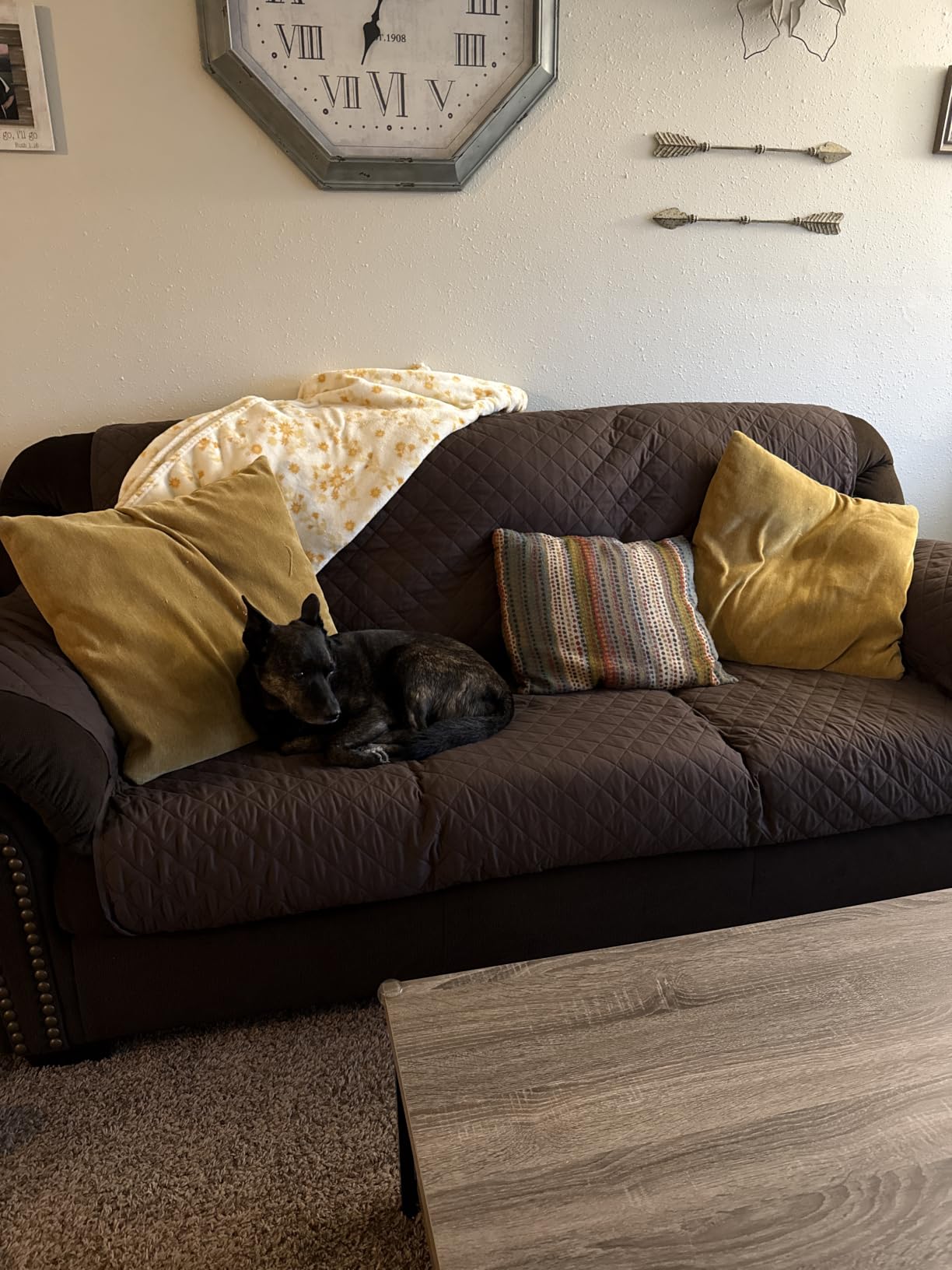 Sofa Shield® Couch Loveseat Slip Cover for Dogs with Strap, Light Gray customer photo 1