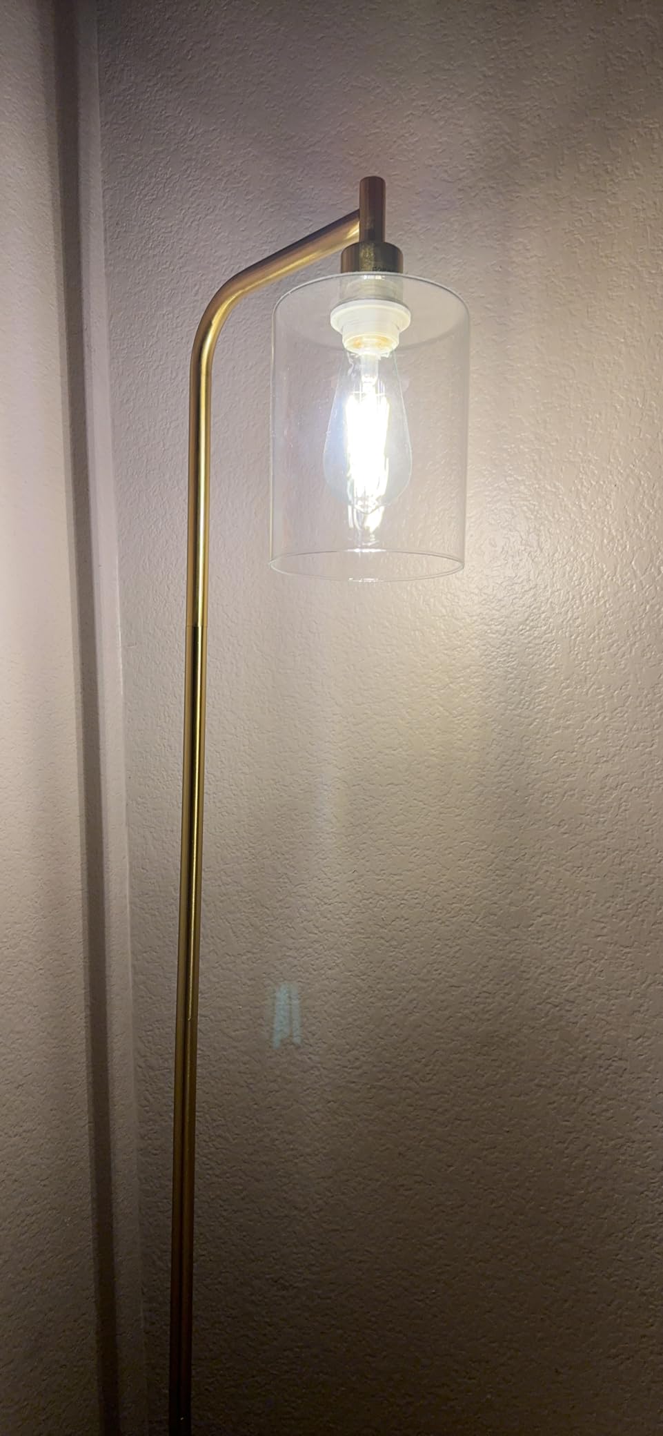 Bosceos Brass Gold Industrial Floor Lamp with Hanging Glass Shade customer photo 2