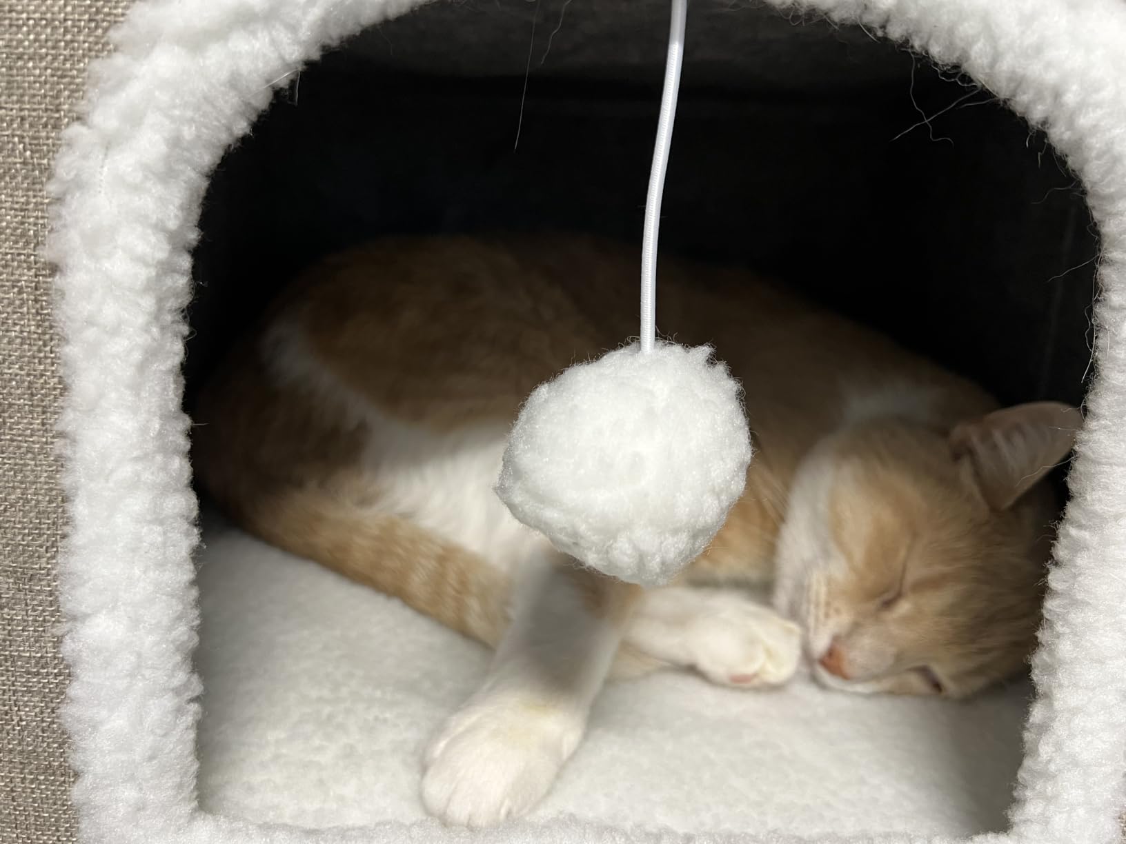 Bedsure Cat House Bed for Indoor Cats with Fluffy Ball and Scratch Pad, Grey customer photo 1