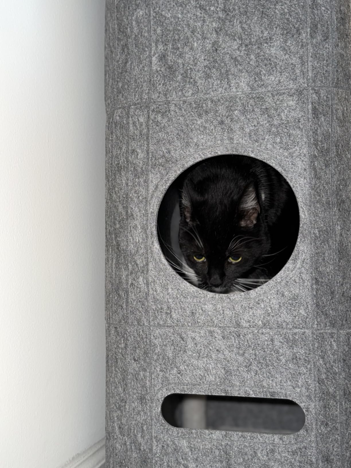 Bedsure Cat House Bed for Indoor Cats with Fluffy Ball and Scratch Pad, Grey customer photo 2