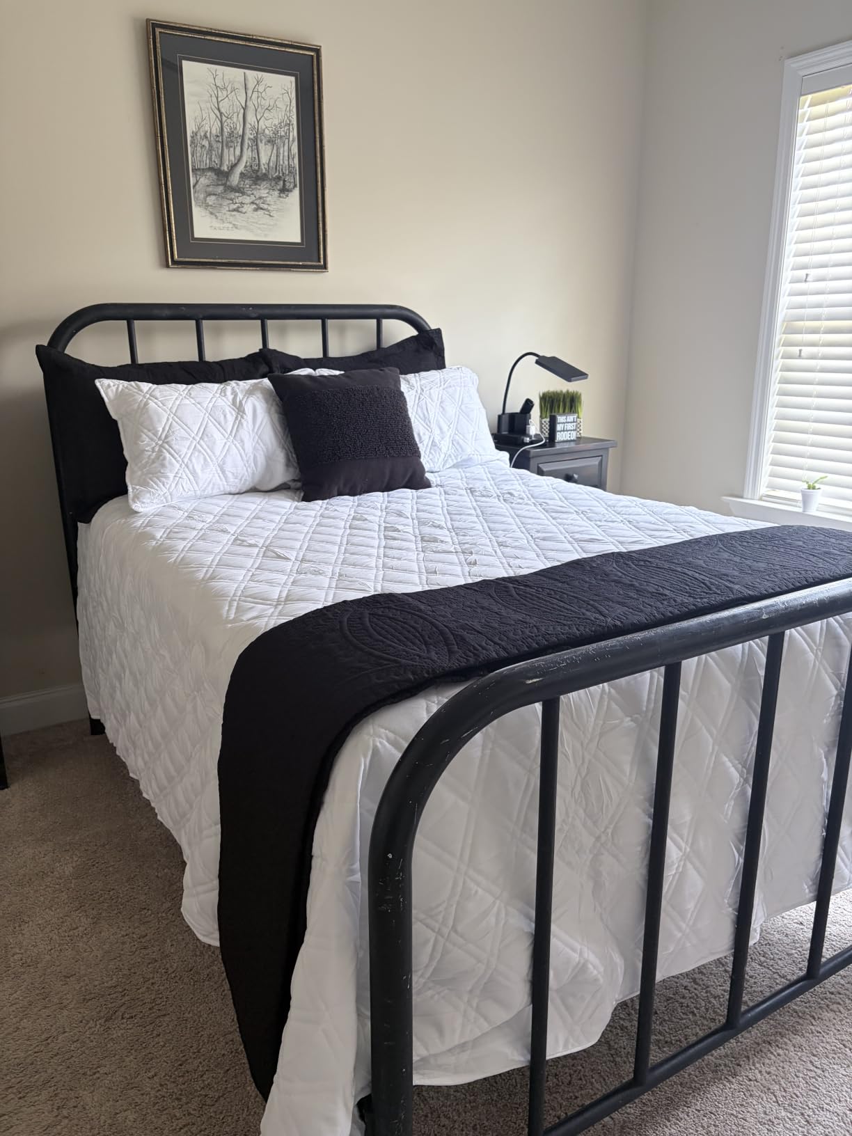 Love's cabin Quilts for Queen Bed Blue Bedspreads - Soft Bed Summer Lightweight Bedspread Comforter - Modern Style Coin Pattern Coverlet for All Season - 3 Pieces (1 Quilt, 2 Pillow Shams) customer photo 2