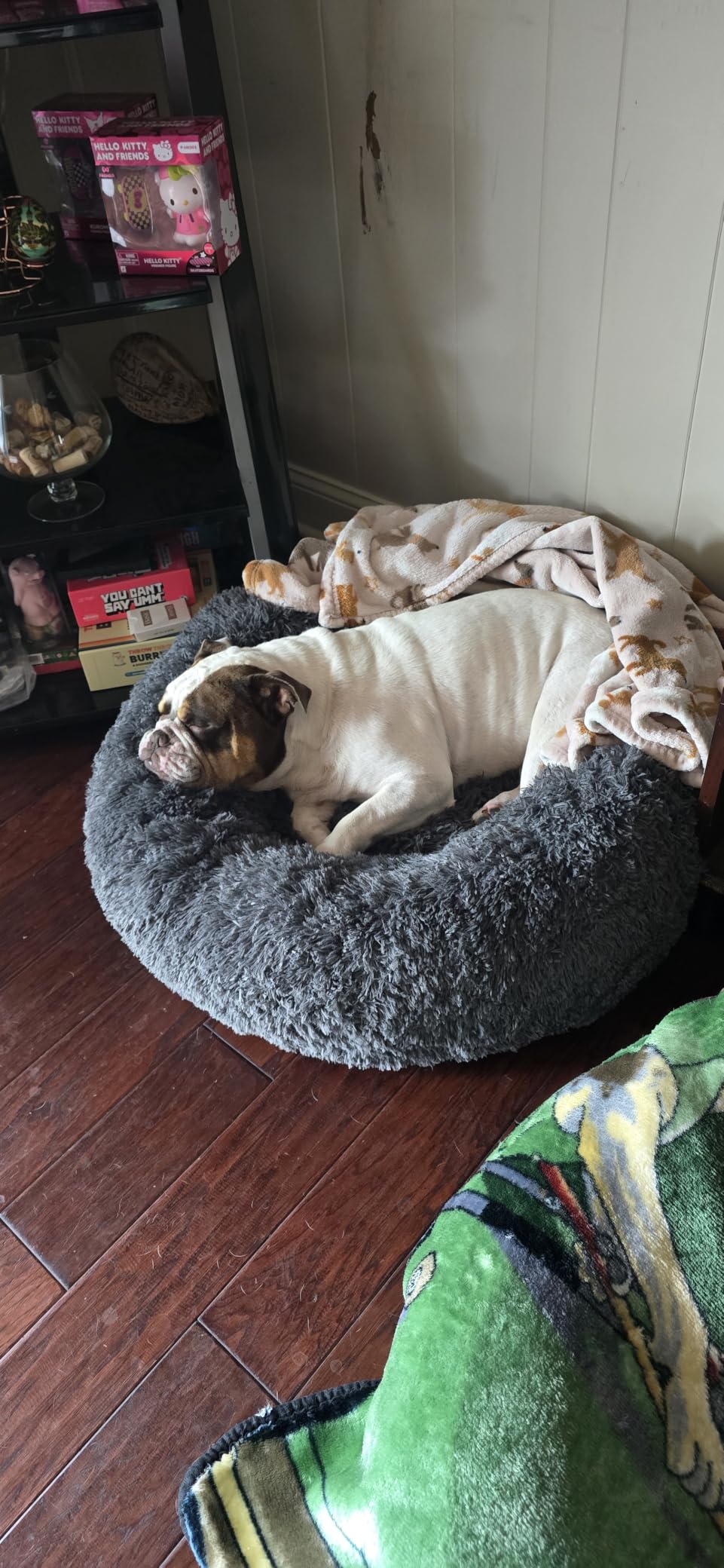 Bedsure Calming Dog Beds Large Sized Dog Donut Washable Pet Bed,36ins Camel customer photo 1