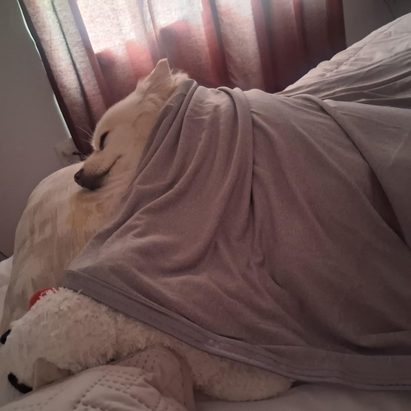 CHOSHOME Cooling Blanket for Hot Sleepers, Throw Size 50