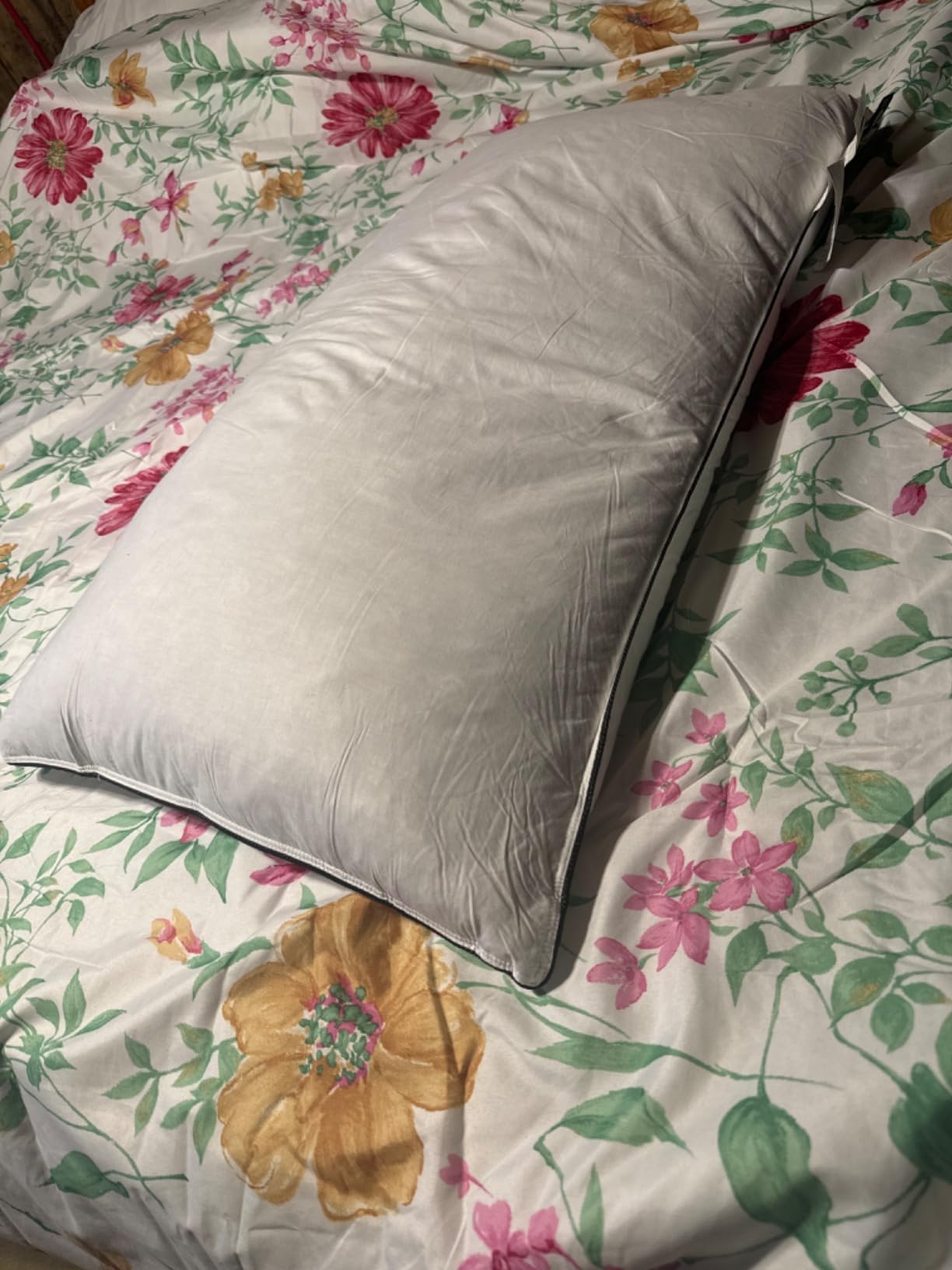 DWR Goose Feather Down Pillows, Organic Cotton, King 20x36, Set of 2 customer photo 2