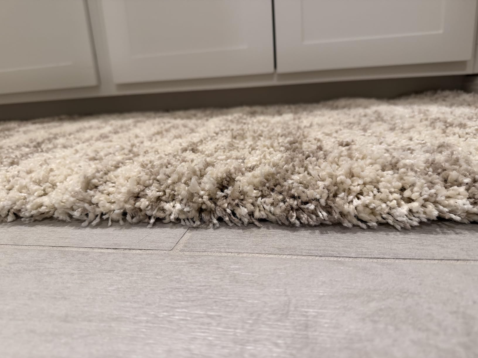 SAFAVIEH Hudson Shag Rug 4x6, Ivory & Beige SGH206B customer photo 2