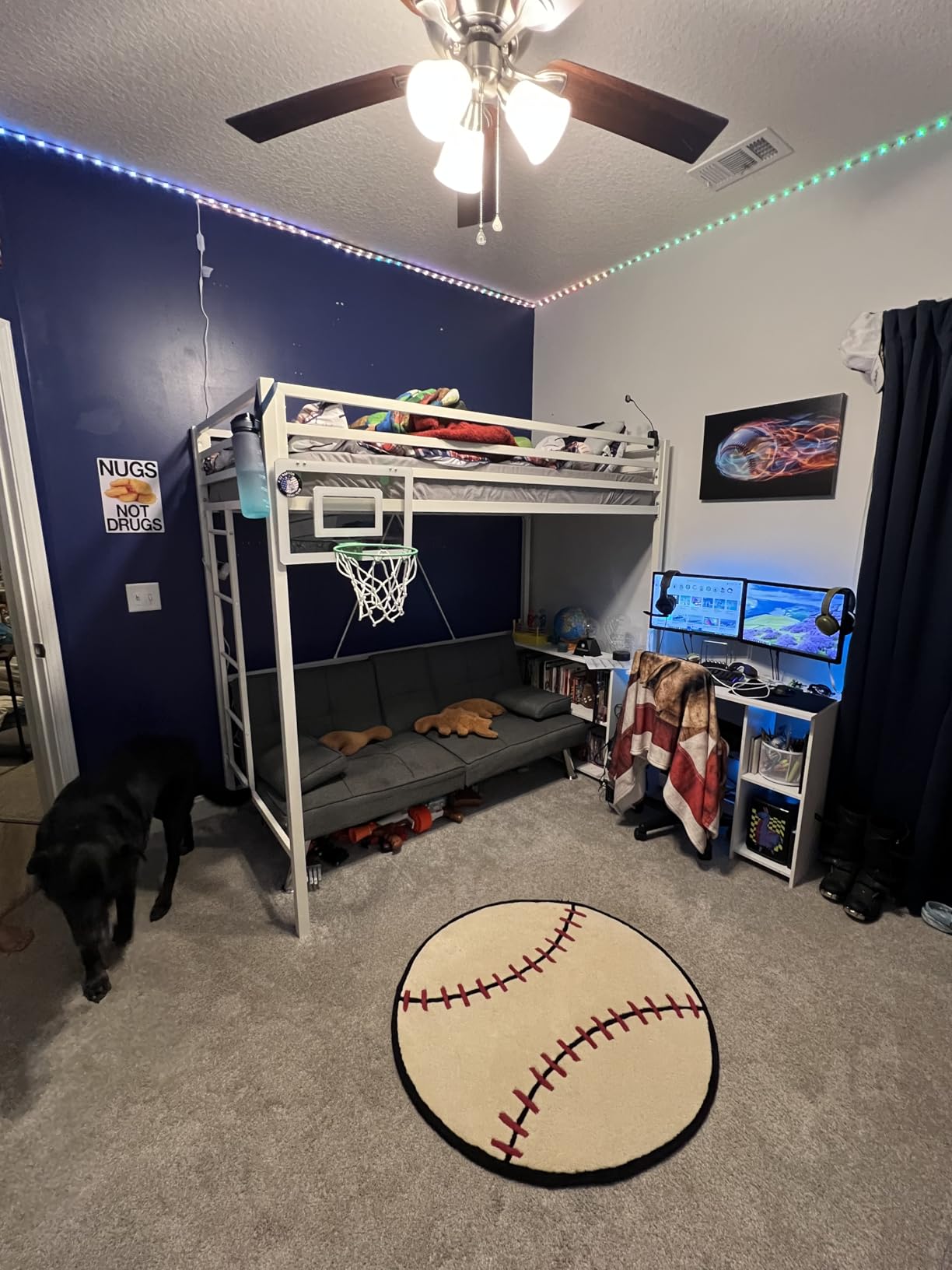 Allewie Metal Loft Bed Twin Size with Guardrail and Ladder,Black | Small Space Saving Design for Bedroom Kid Room and Dorm, No Box Spring Needed customer photo 1
