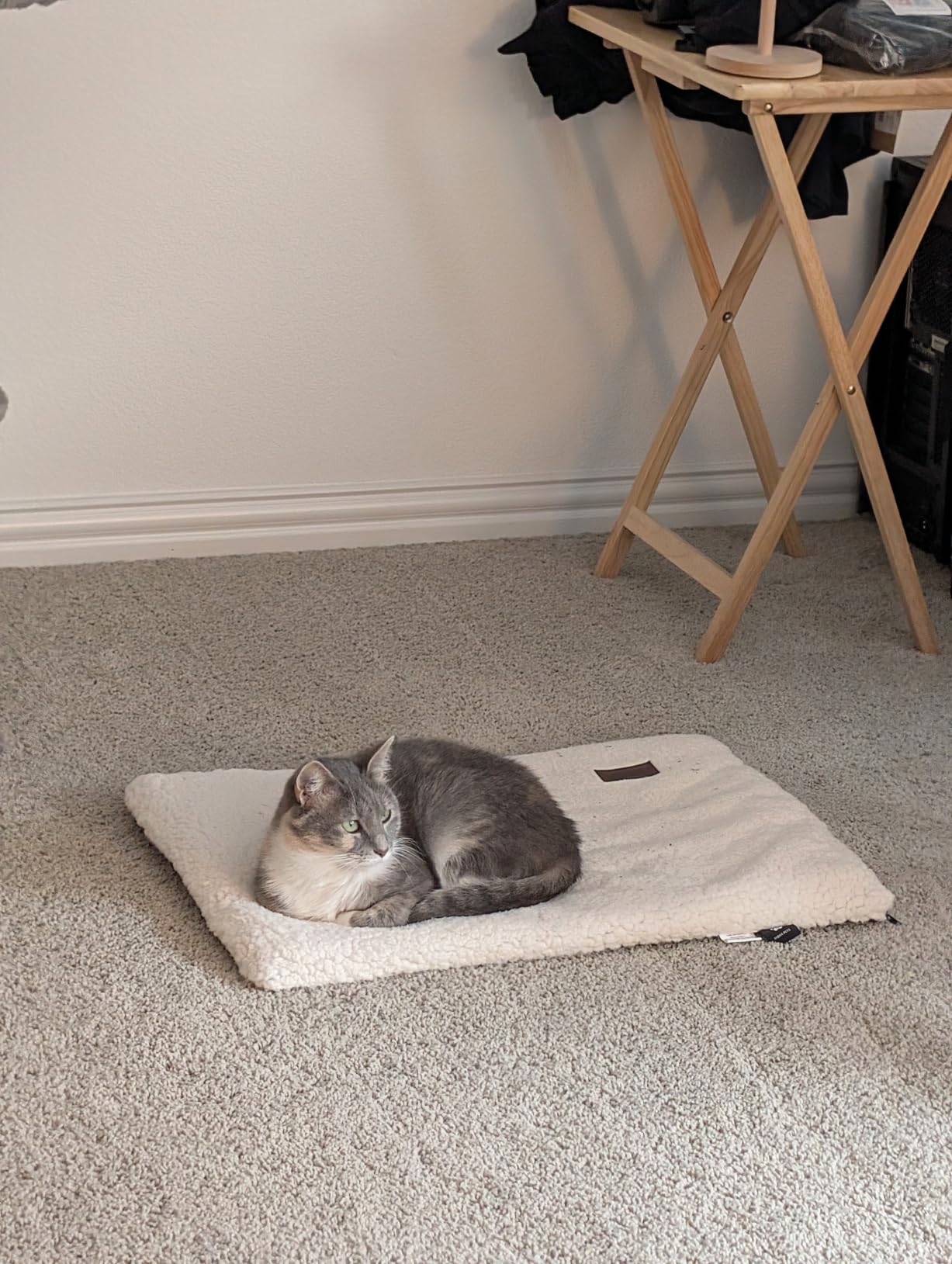 Mora Pets Self Warming Cat Bed Self Heating Cat Dog Mat Pet Pad Extra Warm customer photo 1