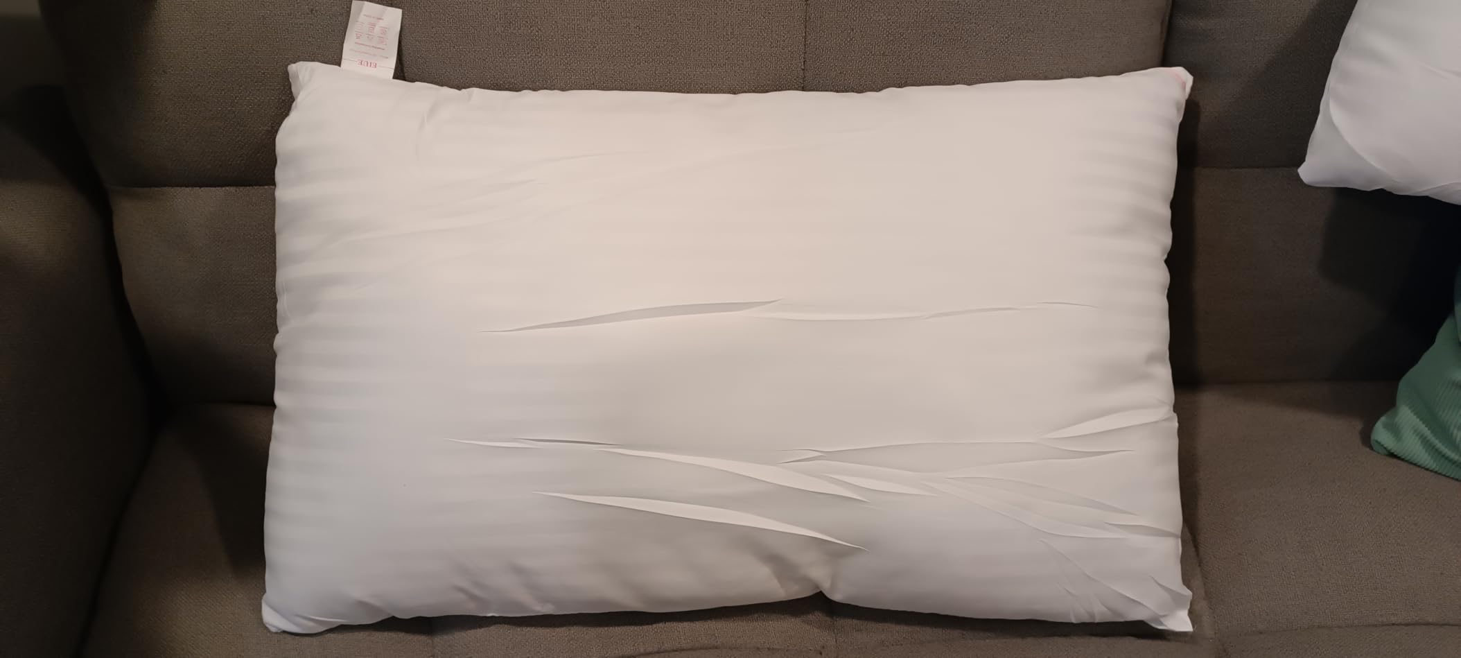 EIUE Hotel Collection Bed Pillows for Sleeping 2 Pack Queen Size,Pillows for Side and Back Sleepers,Super Soft Down Alternative Microfiber Filled Pillows,20 x 30 Inches customer photo 2