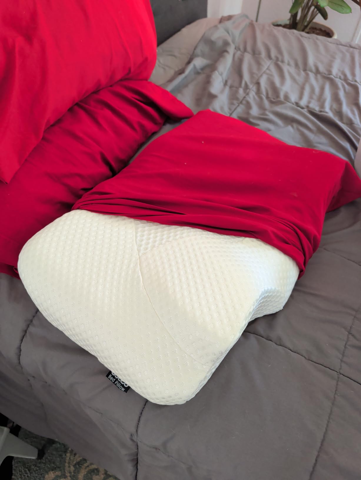 Osteo Cervical Pillow for Neck Pain Relief, Hollow Design Odorless Memory Foam Pillows with Cooling Case, Adjustable Orthopedic Bed Pillow for Sleeping, Support for Side Back Sleepers customer photo 1