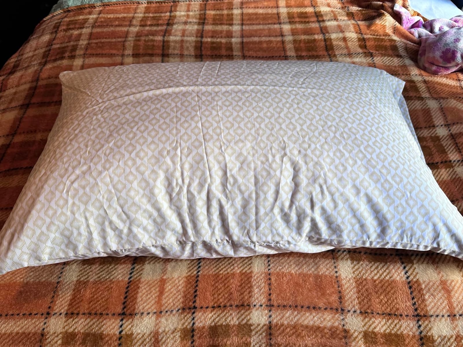 Standard Goose Down Feather Hotel Collection Bed Pillows for Sleeping One Pillow for Back, Stomach or Side Sleepers Stripe White Color customer photo 2