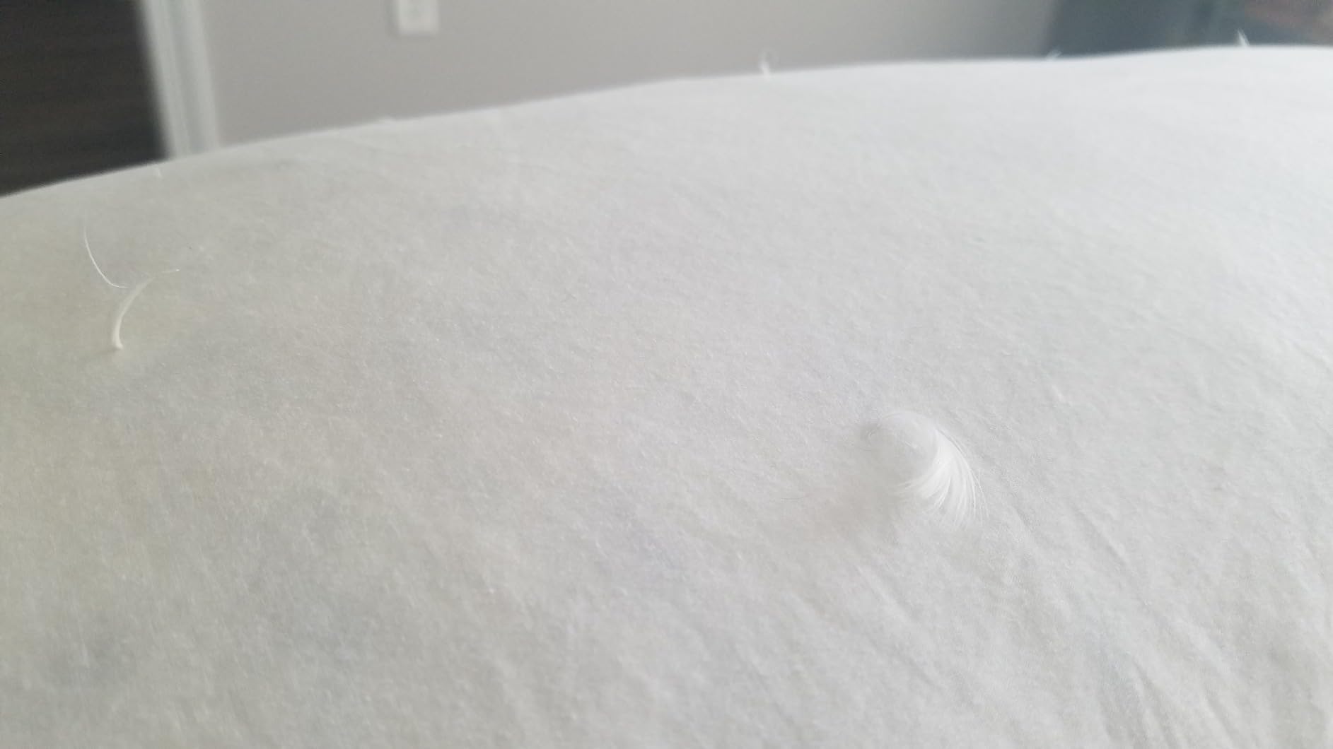 JA COMFORTS Goose Feather Down Bed Pillows for Sleeping(2 Packs)-Standard/Queen,High Fill Weight,Double-Layer Downproof Fabric Design,Goose Down Filling,600 Thread Count,Cotton Cover customer photo 2