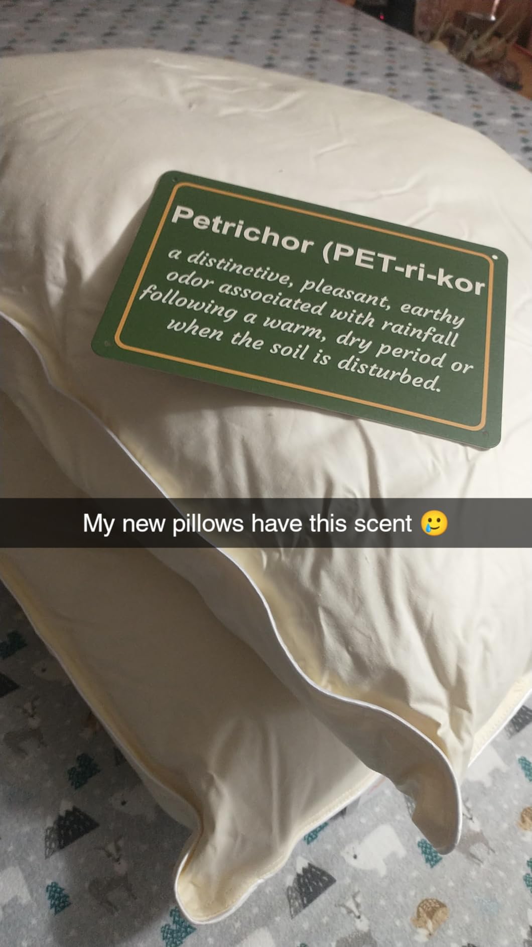 Cheer Collection Set of 2 Organic Kapok Bed Pillows, Natural Kapok Fiber Filled Sleeping Pillows with Breathable Cotton Shell, King Size, 20 x 36 inches customer photo 1