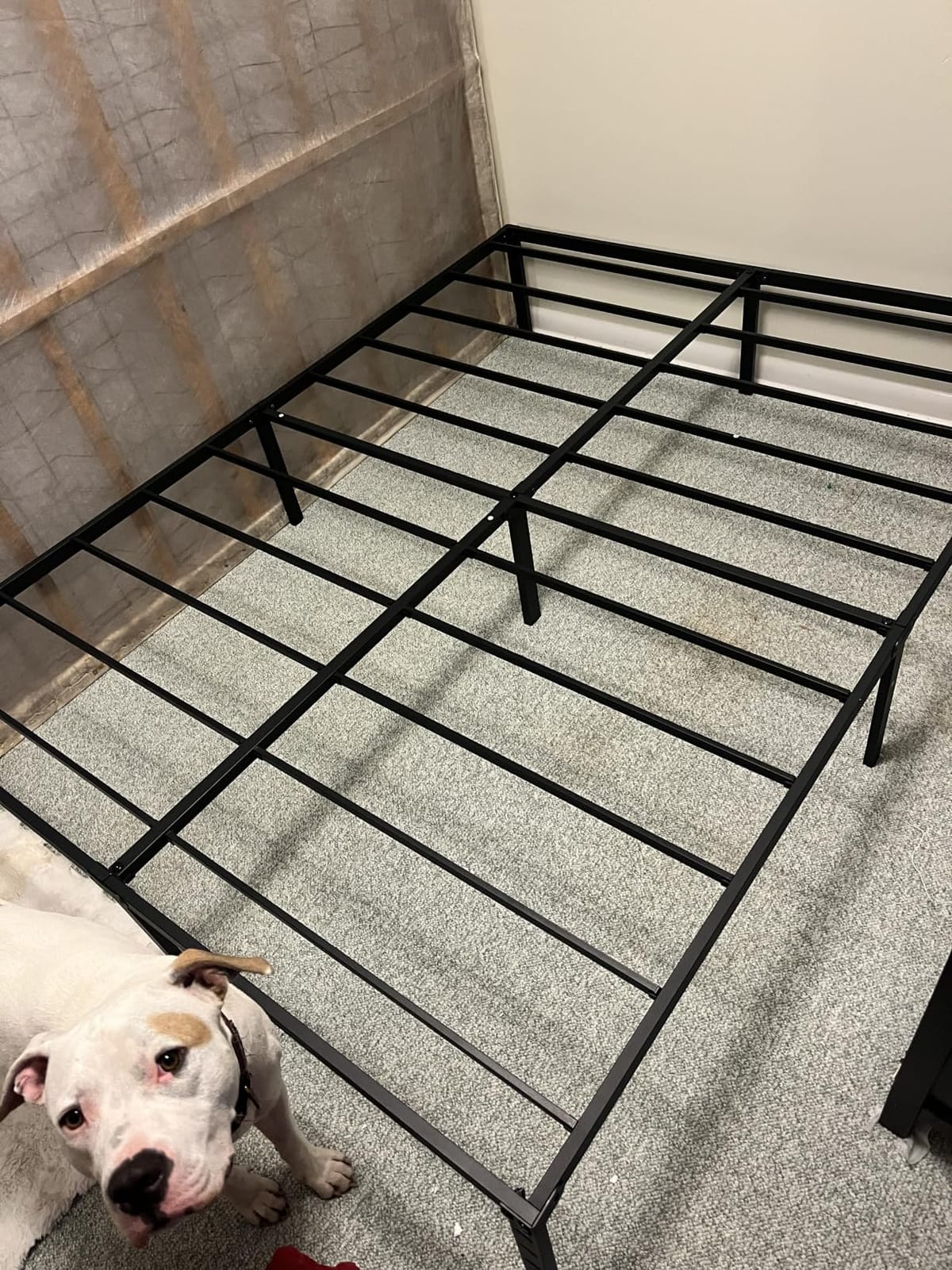 NEW JETO Metal Bed Frame,Queen Size Bed Frame with Storage Space,14 Inch customer photo 1