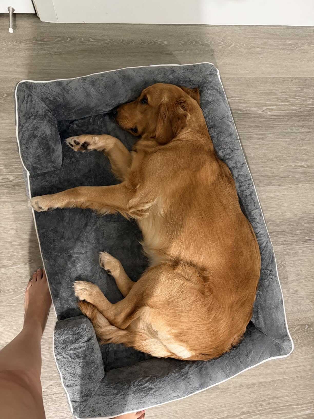 EHEYCIGA Orthopedic Extra Large Dog Bed, Waterproof Washable XL Pet Bed 44