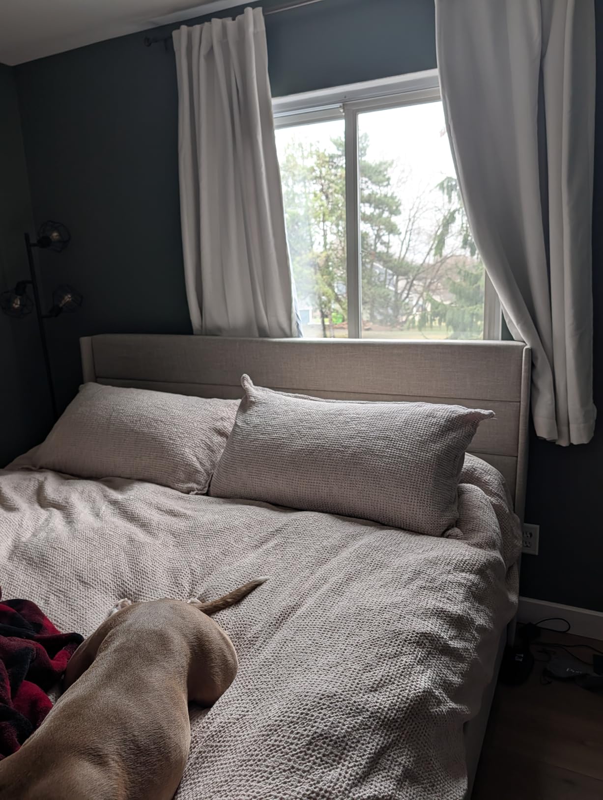 SHA CERLIN Queen Size Lift Up Hydraulic Storage Bed Frame Light Beige | Modern Wingback Headboard, Upholstered Platform Bed Frame, Hydraulic Underneath Storage, No Box Spring Needed customer photo 2