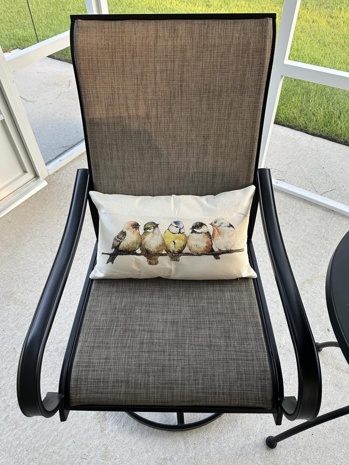 RABUSOFA 12x20 Lumbar Pillow Decorative Throw Pillows, Hand-Painted Outdoor Birds Pillowcases customer photo 1