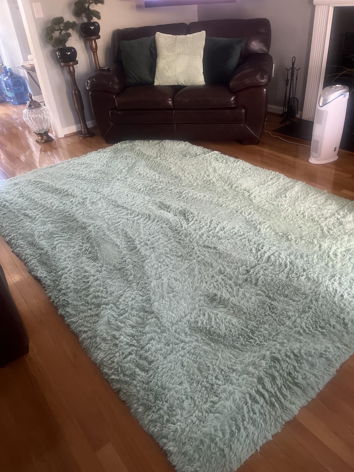 Sage Green Area Rugs Fluffy Rug for Bedroom Living Room, 4x6 Feet Indoor Shaggy Carpets, Plush Soft Rug for Kids Room, Furry Rugs for Girls Boys Playroom Nursery Room Home Decor customer photo 1