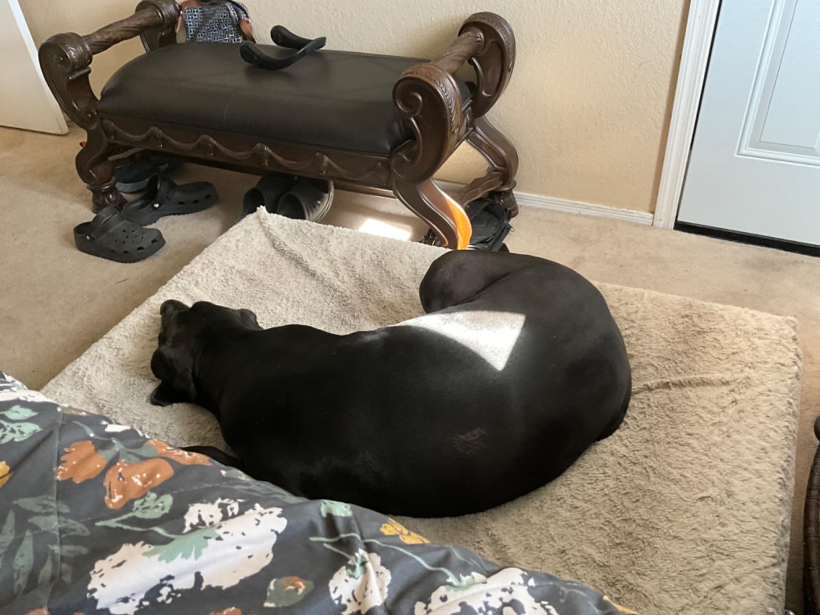 PayLessHere | 8 Inch Full Mattress | White | Green Tea Gel Memory Foam customer photo 2