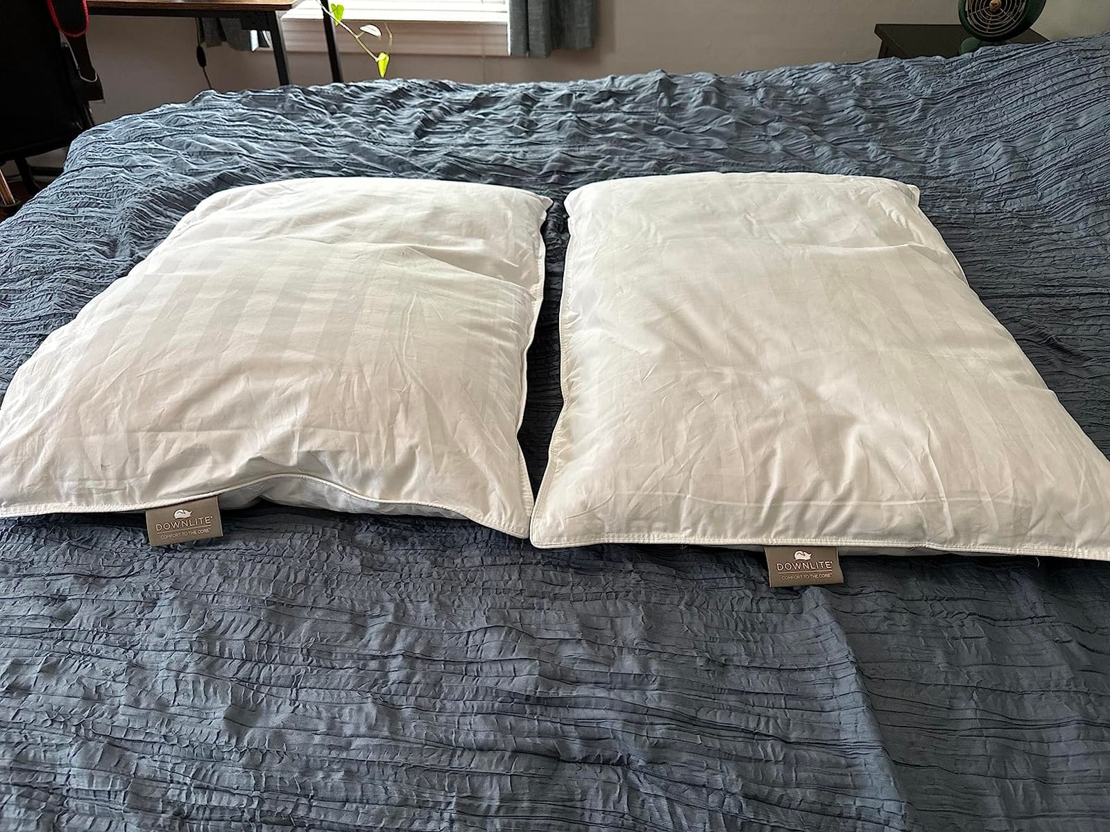 DOWNLITE Down Extra Thin, Flat & Soft Pillow for Stomach Sleepers (Hypoallergenic) (Standard/Queen) customer photo 1