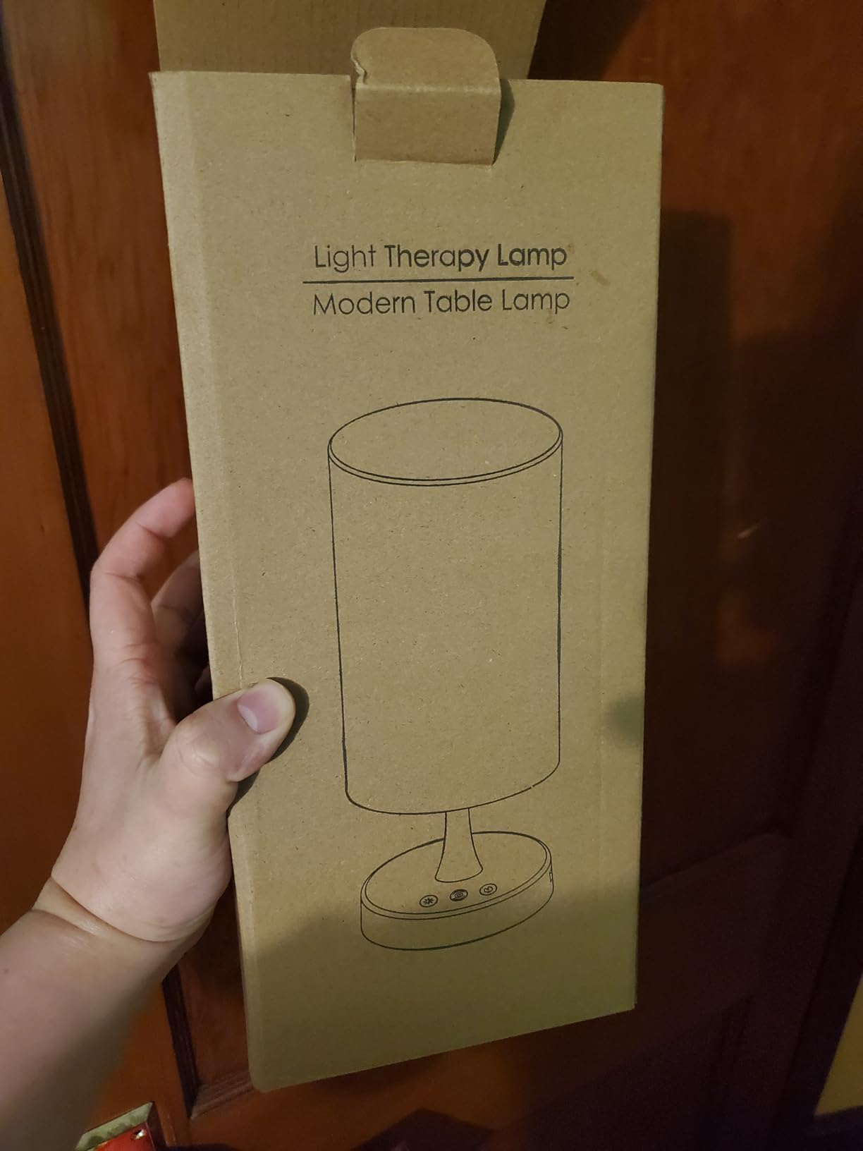 Caromolly Light Therapy Lamp, Sunlight Lamp 10000 Lux with Remote Control, 3 Color Temperature & 4 Brightness Level & Timer, Daylight Lamp for Home, Office, Decoration customer photo 2