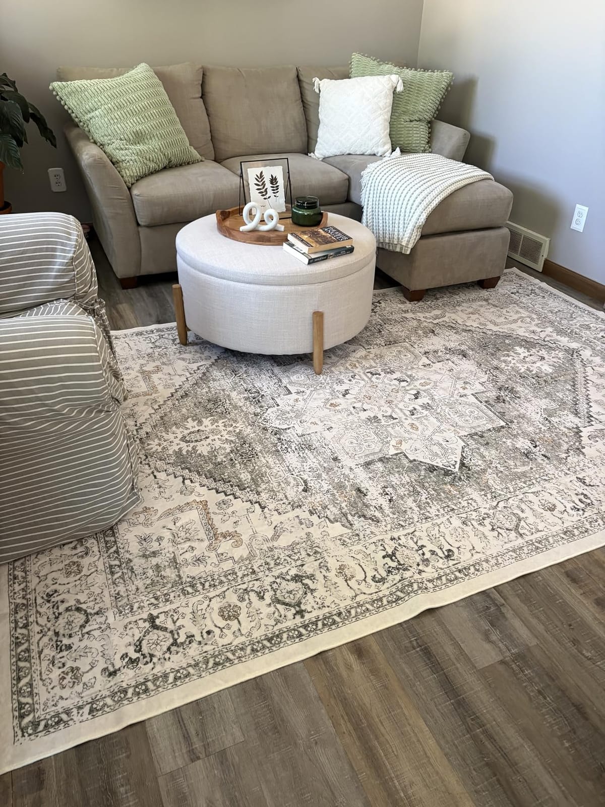 LIVEBOX Washable Area Rug 8x10 - Large Vintage Tribal Living Room Rug Oriental Rugs for Bedroom, Non-Slip Retro Medallion Carpet Print Distressed Rugs for Dining Room Home Office Sage customer photo 1