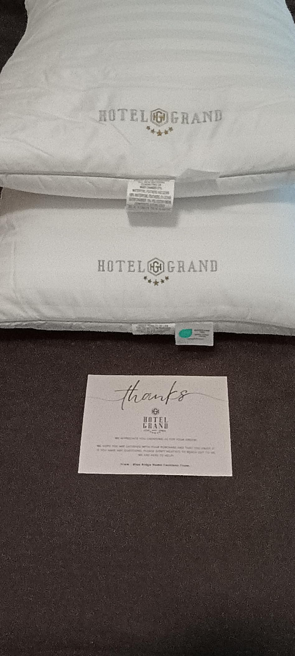 Hotel Grand Luxury Feather Down Pillows Queen Size Set of 2 customer photo 1