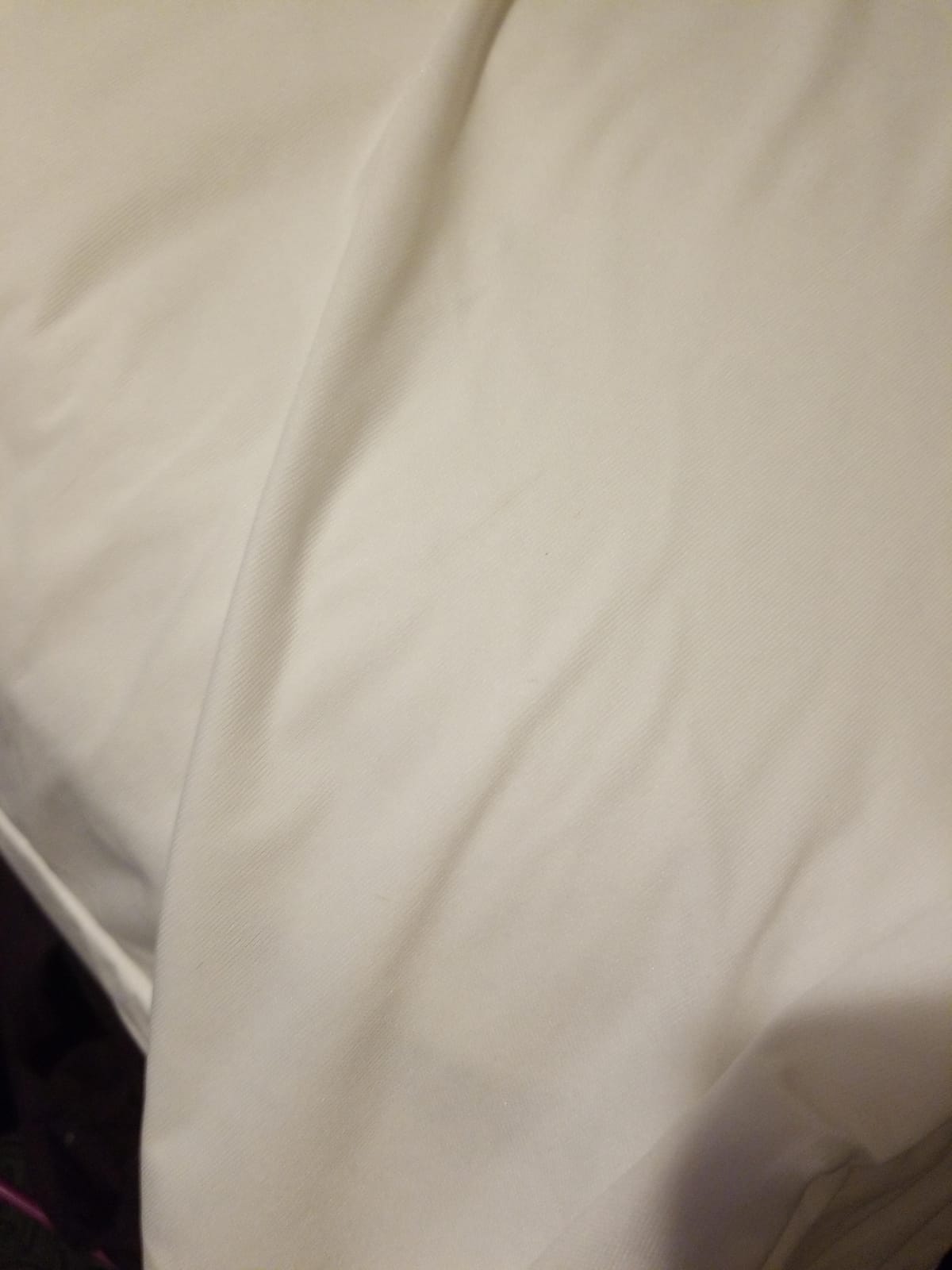Guardmax Queen Mattress Protector Zippered, Bed Bug Mattress Cover customer photo 2