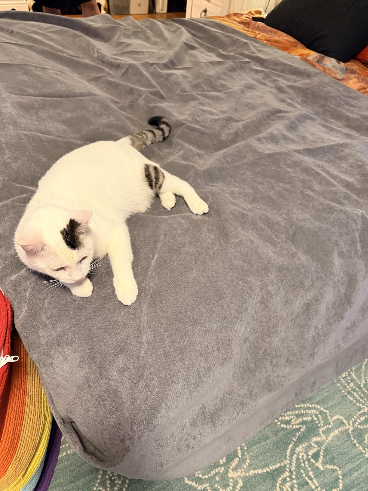 Loiion Cat Scratch Proof Furniture Protector Waterproof Sofa Cover 118
