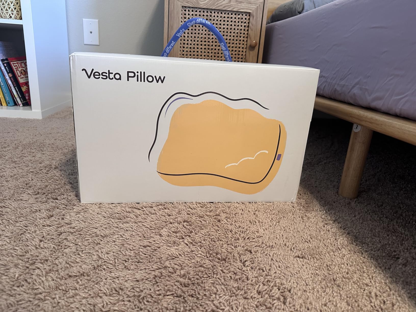 Vesta Hungarian Down Low Loft Pillow, 95% Goose Down Core, Baffle Boxe Design for Optimal Fluffiness, Ideal for Back & Stomach Sleepers, Low to Medium Profile (3.5