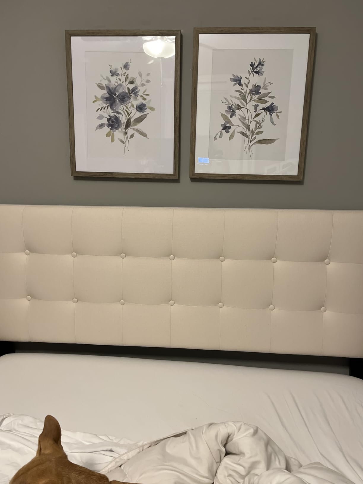 Zinus 10 Inch Queen Cooling Essential Memory Foam Mattress, Medium Feel customer photo 1