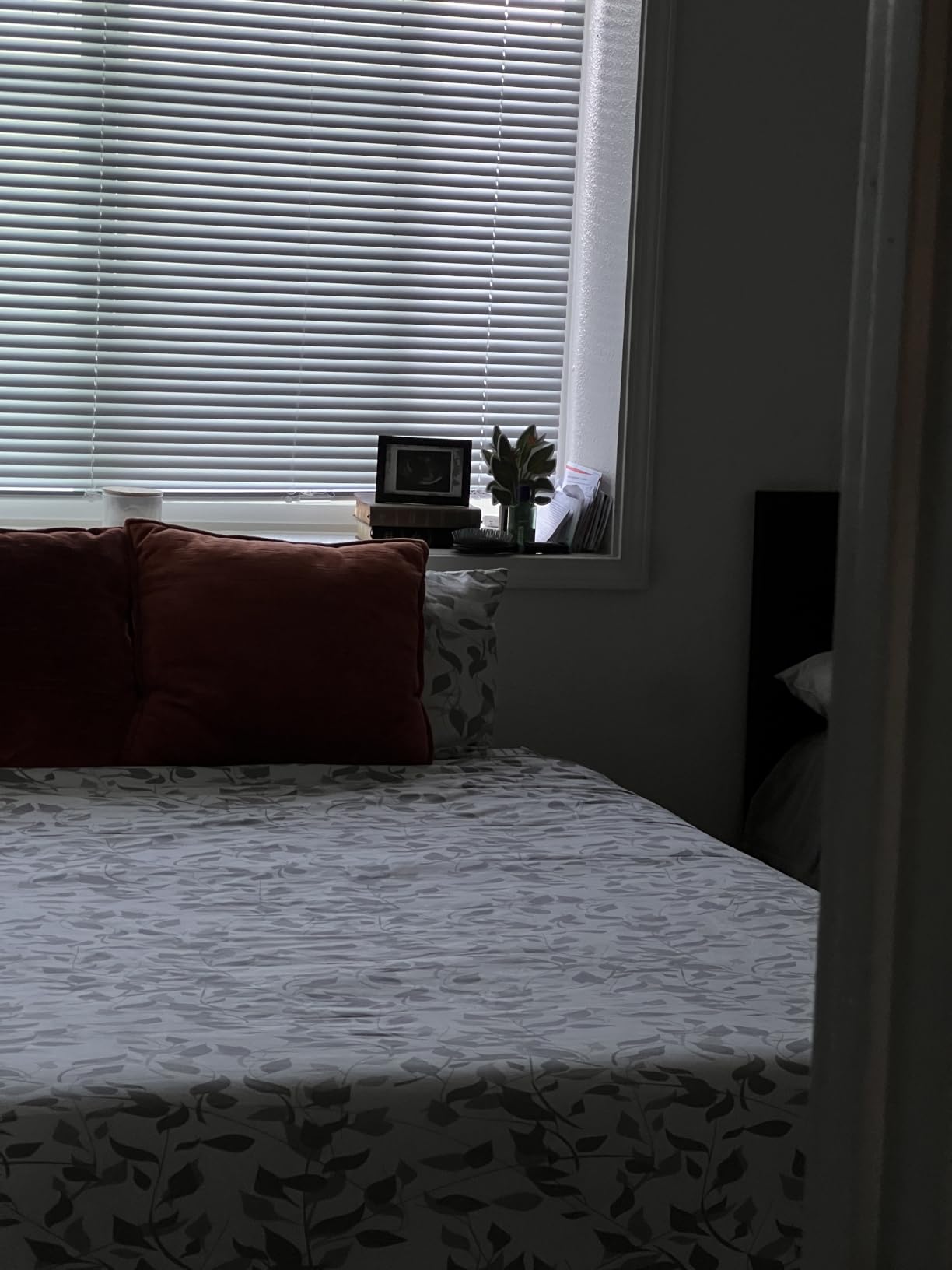 Zinus 12 Inch Queen Cooling Essential Memory Foam Mattress, Medium Feel customer photo 1