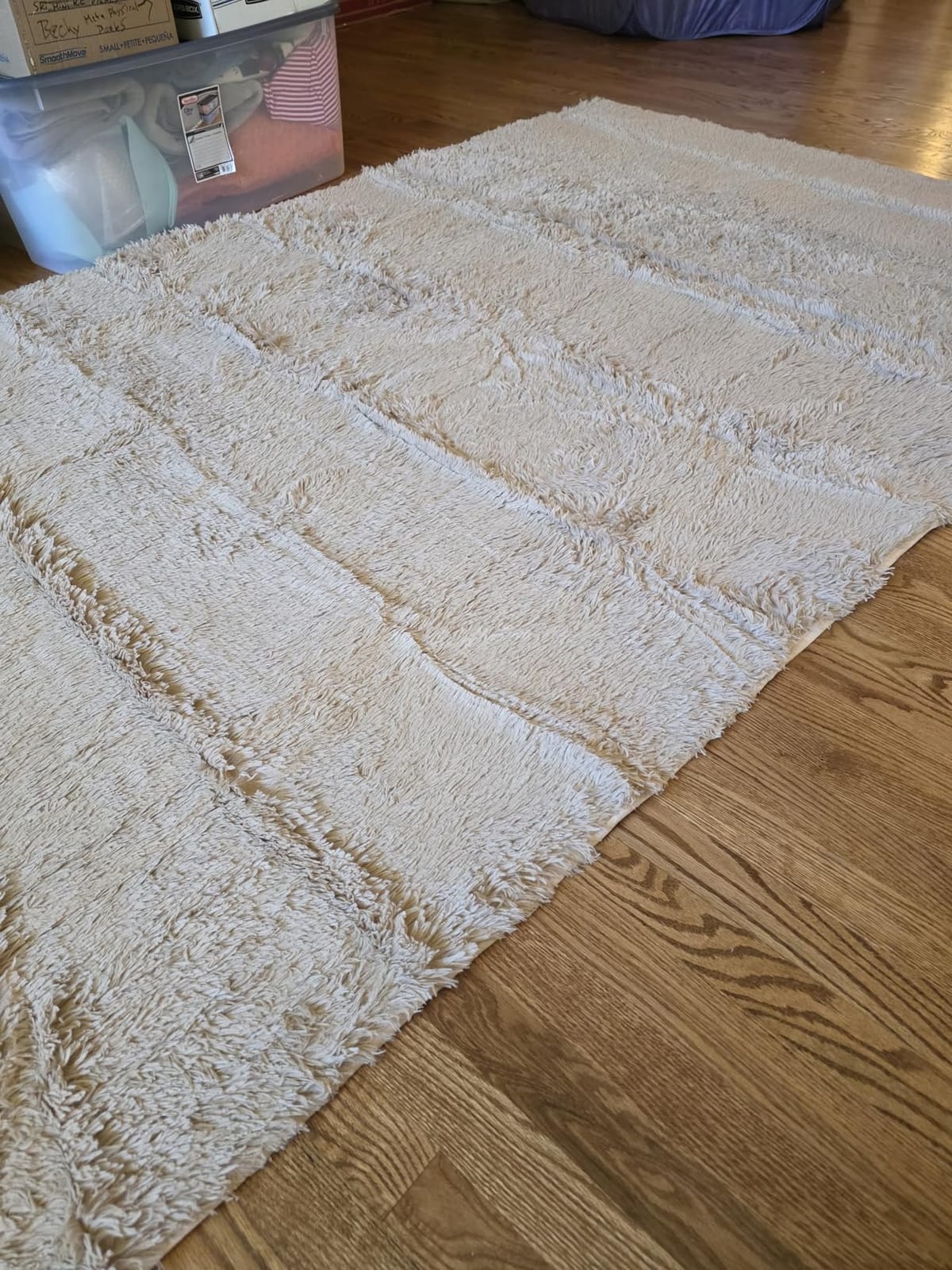 BENRON Fluffy Area Rugs for Living Room Bedroom 6x9 Washable, Cream White customer photo 1
