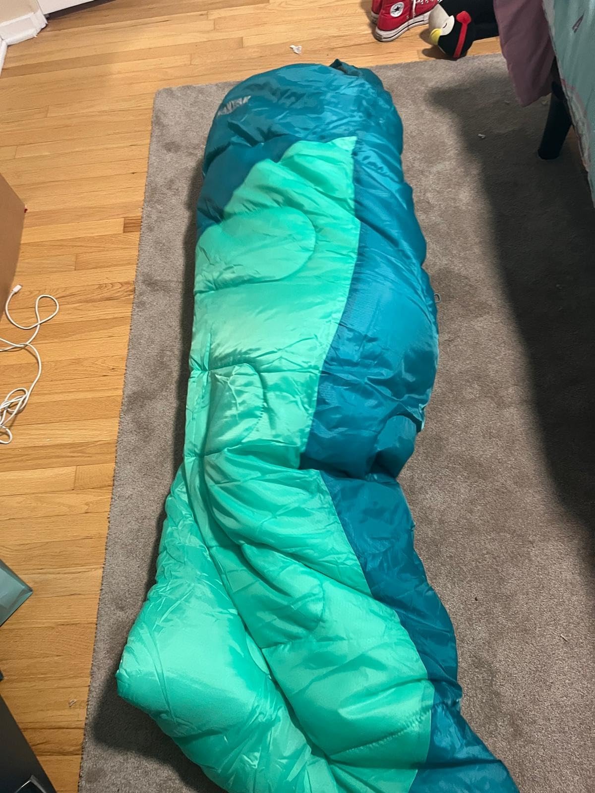 Camping Sleeping Bag, 32℉ Sleeping Bags for Adults Kids Teens Cold Weather Warm Sleeping Bag Winter for 3-4 Season Camping, Camping Gear Equipment, Traveling, and Outdoors customer photo 1