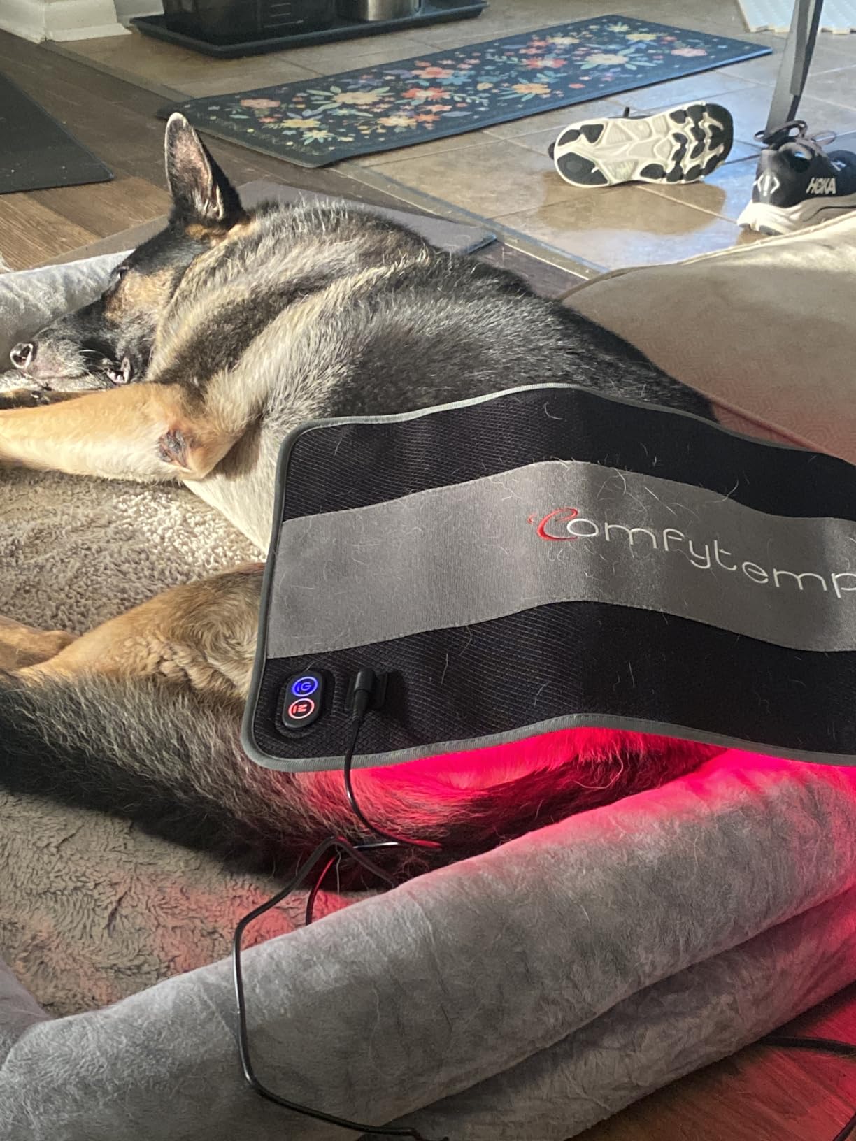 Comfytemp Red Light Belt with 126 LEDs, 660nm & 850nm, 22W(Corded) | Wearable Near Infrared Light Wrap with Timer, Home Office Use, Wasit Belly Birthday Gifts for Women Men Mom Dad customer photo 1