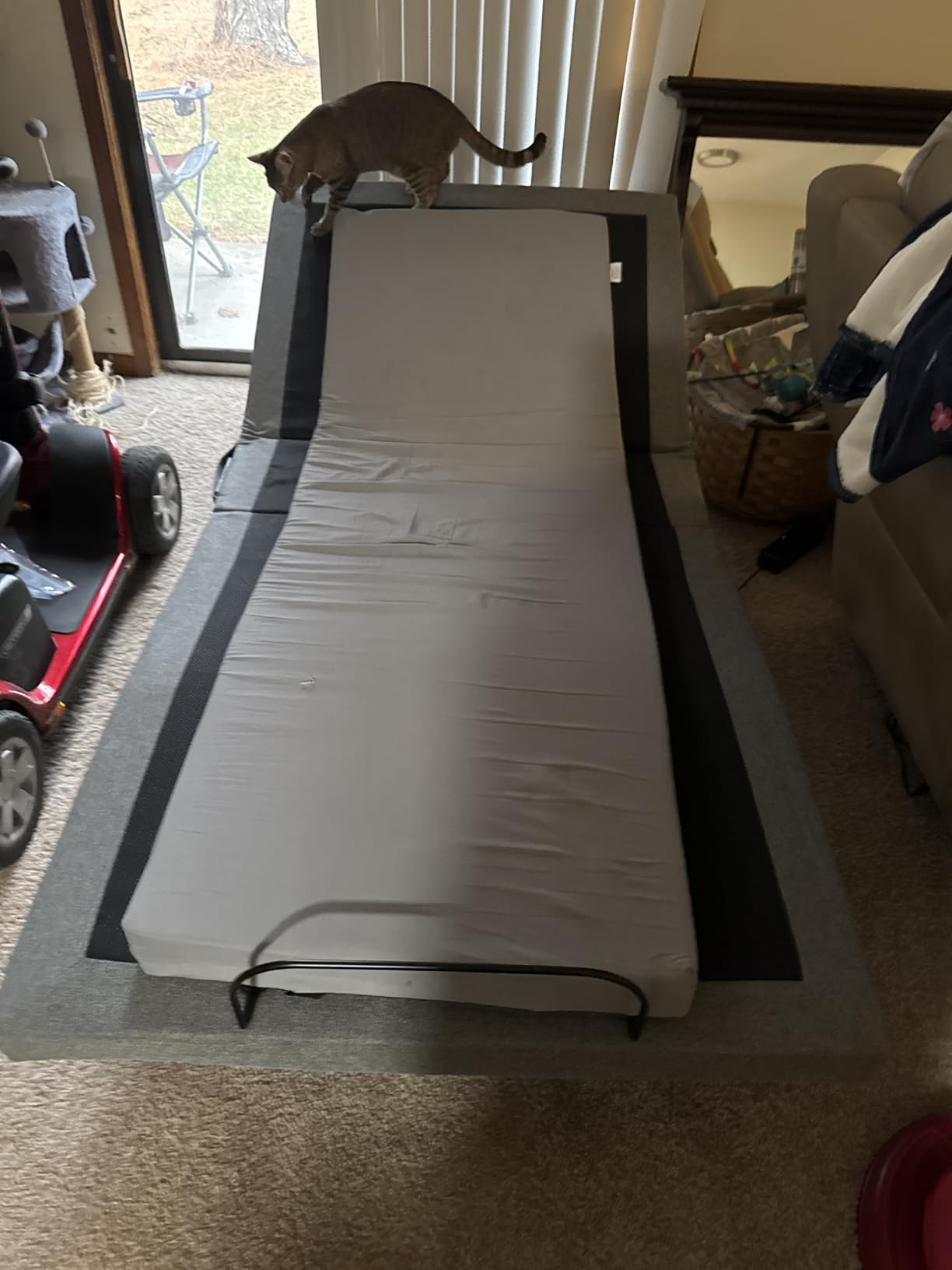 Best Choice Products Ergonomic Full Size Adjustable Bed Frame, Electric Base w/Wireless Remote Control, Nightlight, Massager, 2 USB Ports customer photo 1
