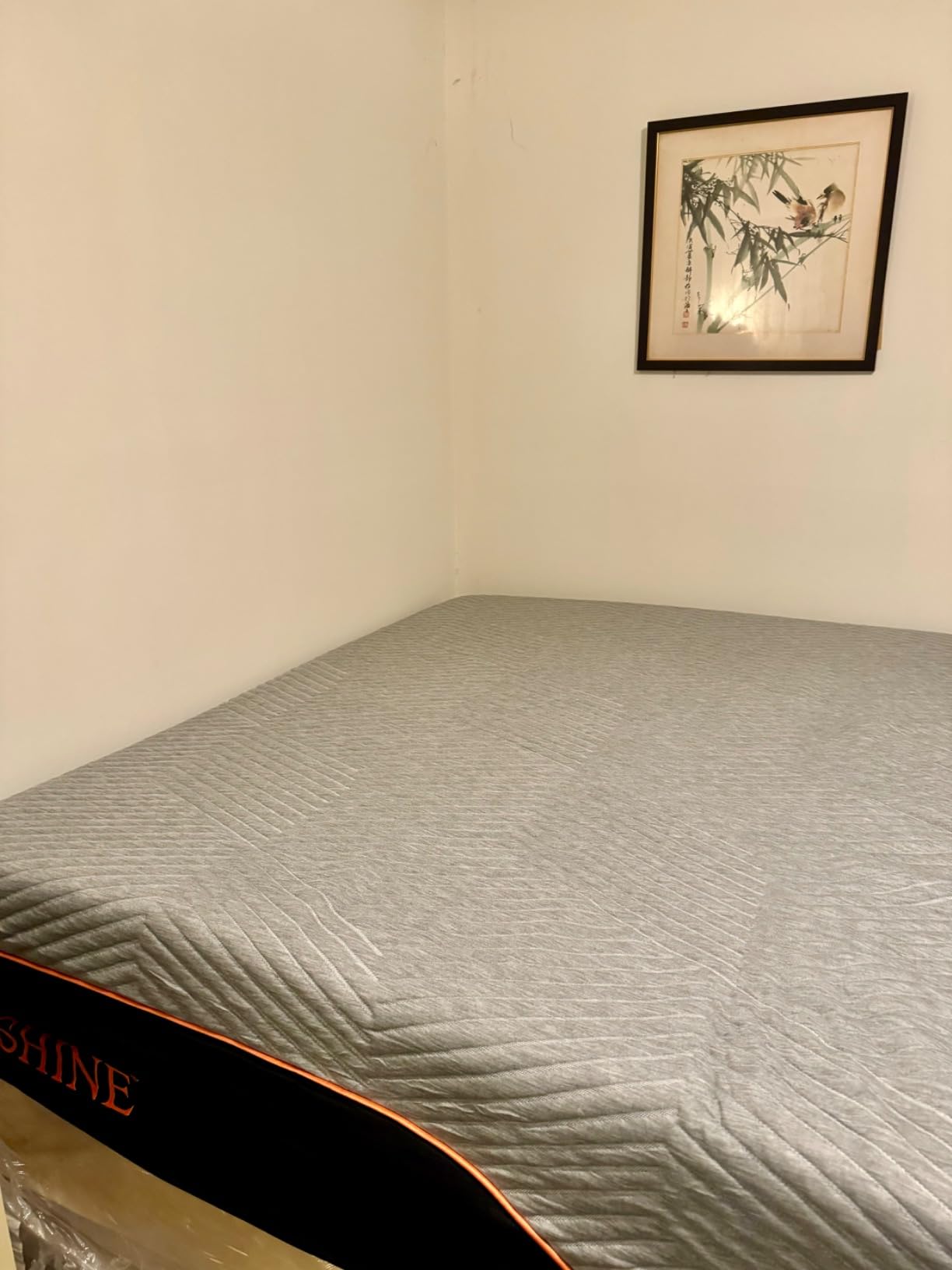 ESHINE Queen Mattress for Back Pain & Pressure Relief, 14” Gel Memory Foam customer photo 2