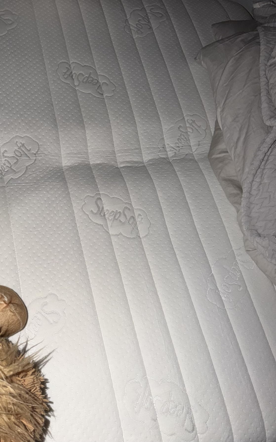PurrJoys Queen Mattress Firm, 12 Inch Queen Size Mattress in a Box customer photo 1