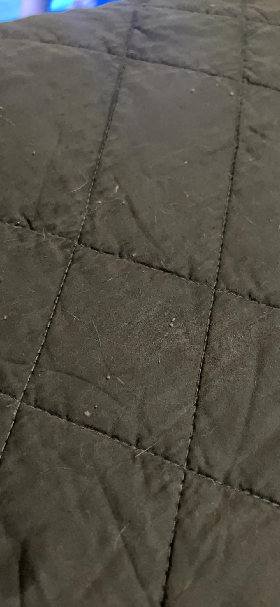 LUXOME Lightweight Blanket | 100% Rayon (Viscose) from Bamboo Fabric & Fill | Full/Queen - 86