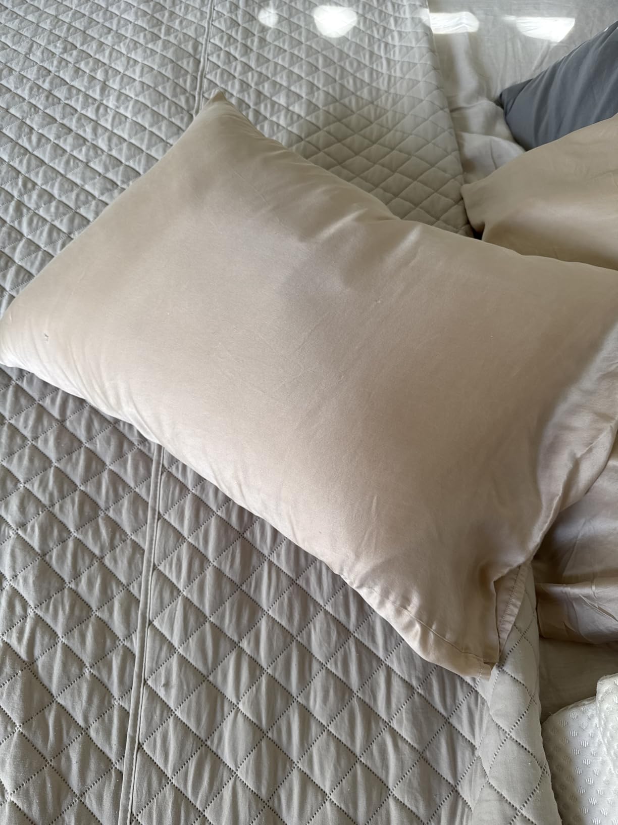 puredown Goose Feather Down Pillows, 100% Organic Cotton Cover, Luxury Hotel Collection Bed Pillows for Sleeping Set of 2, King Size customer photo 1