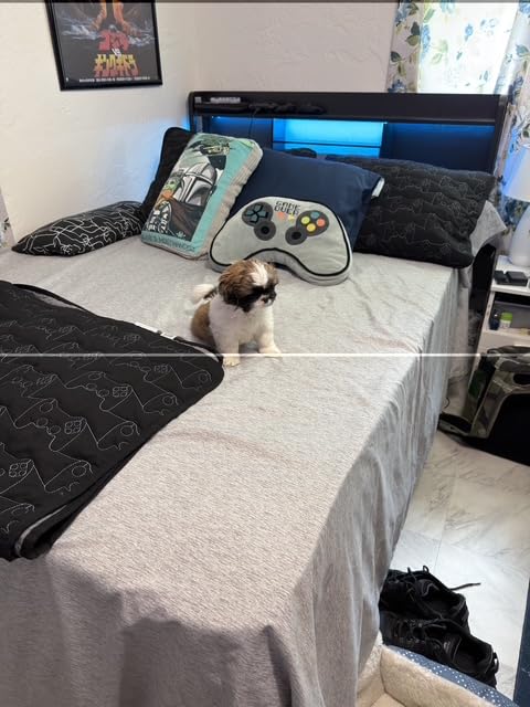 Furnulem Queen Size Bed Frame with Headboard, Drawers, Charging Station customer photo 2