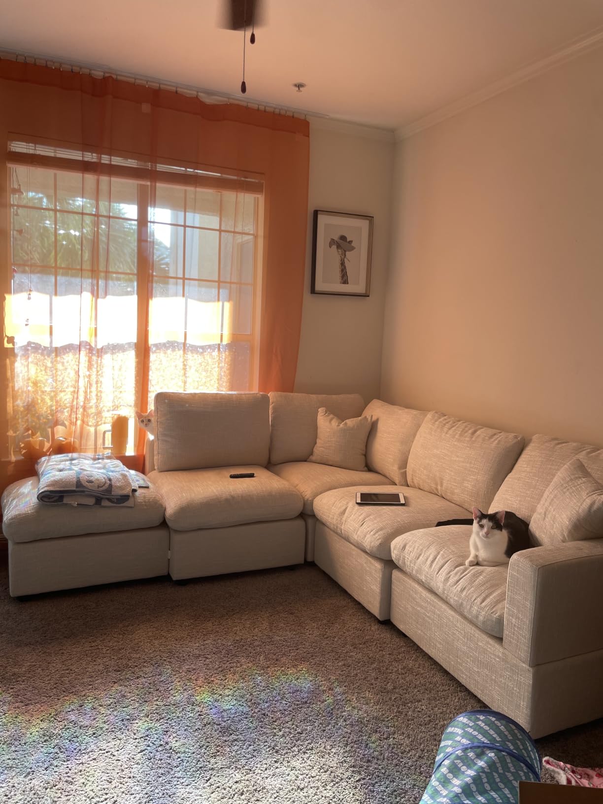 Cloud Sectional Linen Couch for Living Room V-Shape Sofas,5 Seat Modern Modular Sofas,Couches Cushion Covers Removable,Cozy Down Filled Sofa for Apartment Beige customer photo 1