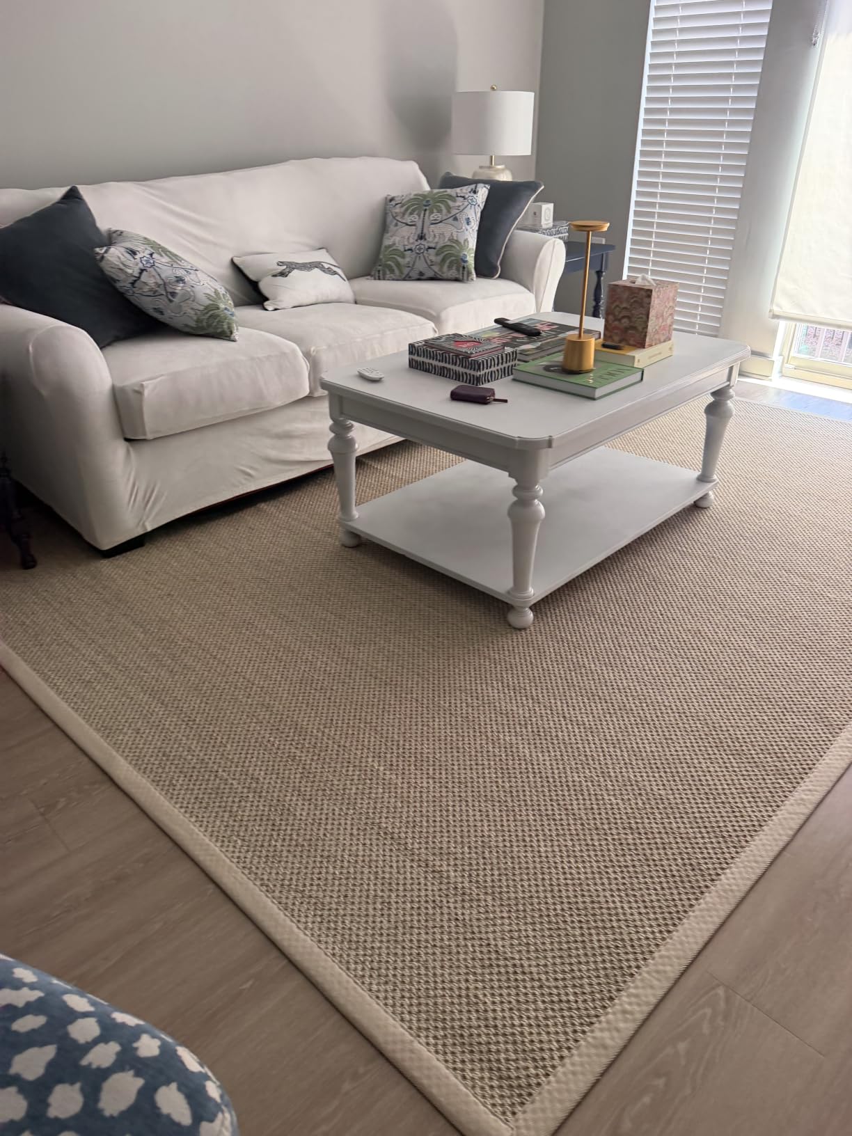 CAMILSON Easy Jute Rug 8x10, Indoor Outdoor Natural Color Fiber Area Rugs for Living Room Patio and Kitchen Rug, Sisal Boho Woven Design, Easy-Cleaning, Washable Outside Carpet Alfombras (8 x 10) customer photo 1