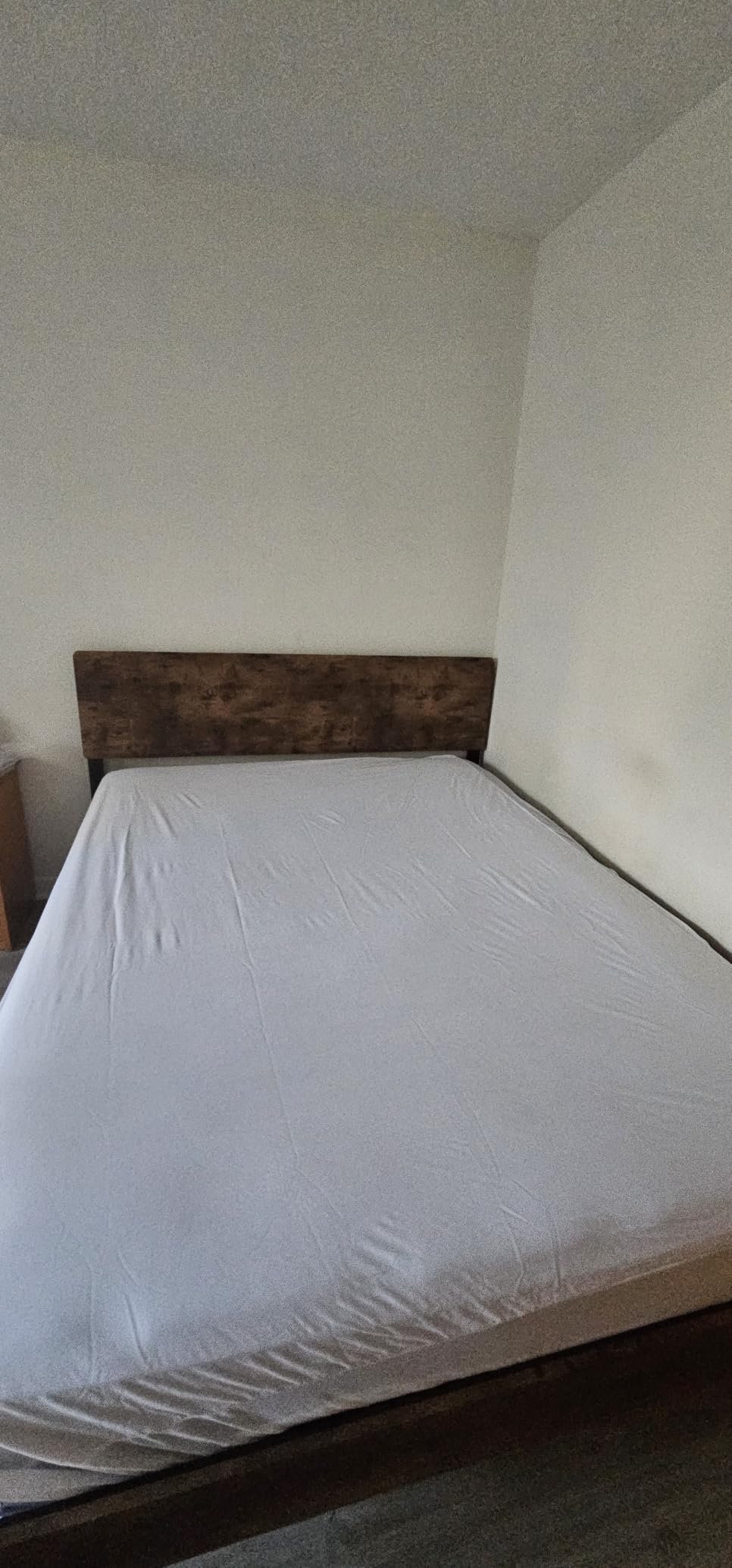 Amazon Basics Waterproof Mattress Protector, Bed Bug and Dust Mite Barrier, King, White customer photo 2