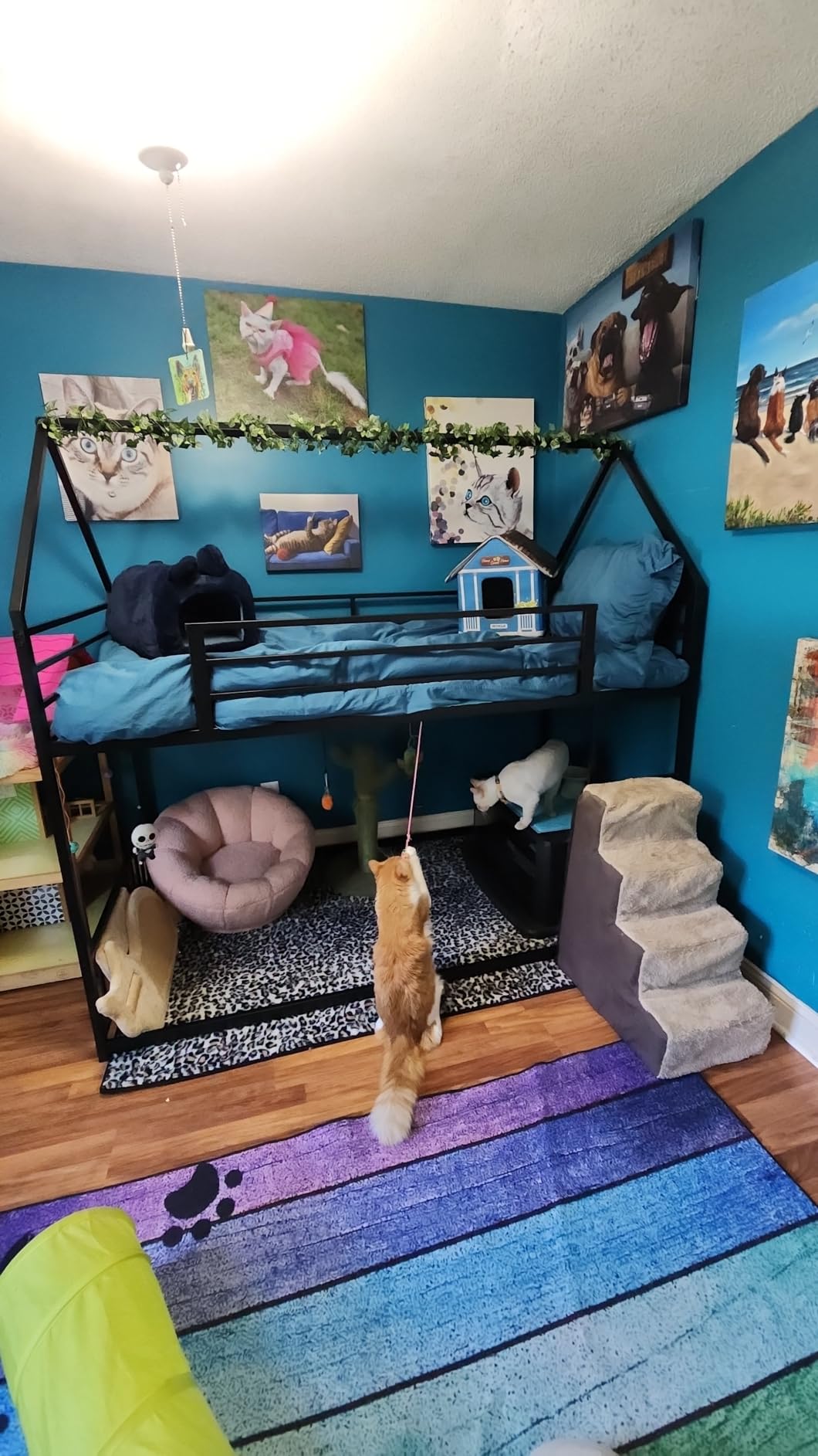 LIKIMIO Bunk Bed Twin Over Twin, House Bunk Bed Frame with Ladder, White | Twin Over Twin Bunk Bed. Metal frame with guardrails. House shaped with Metal Slats for bedroom. No box spring. Space Saving customer photo 1