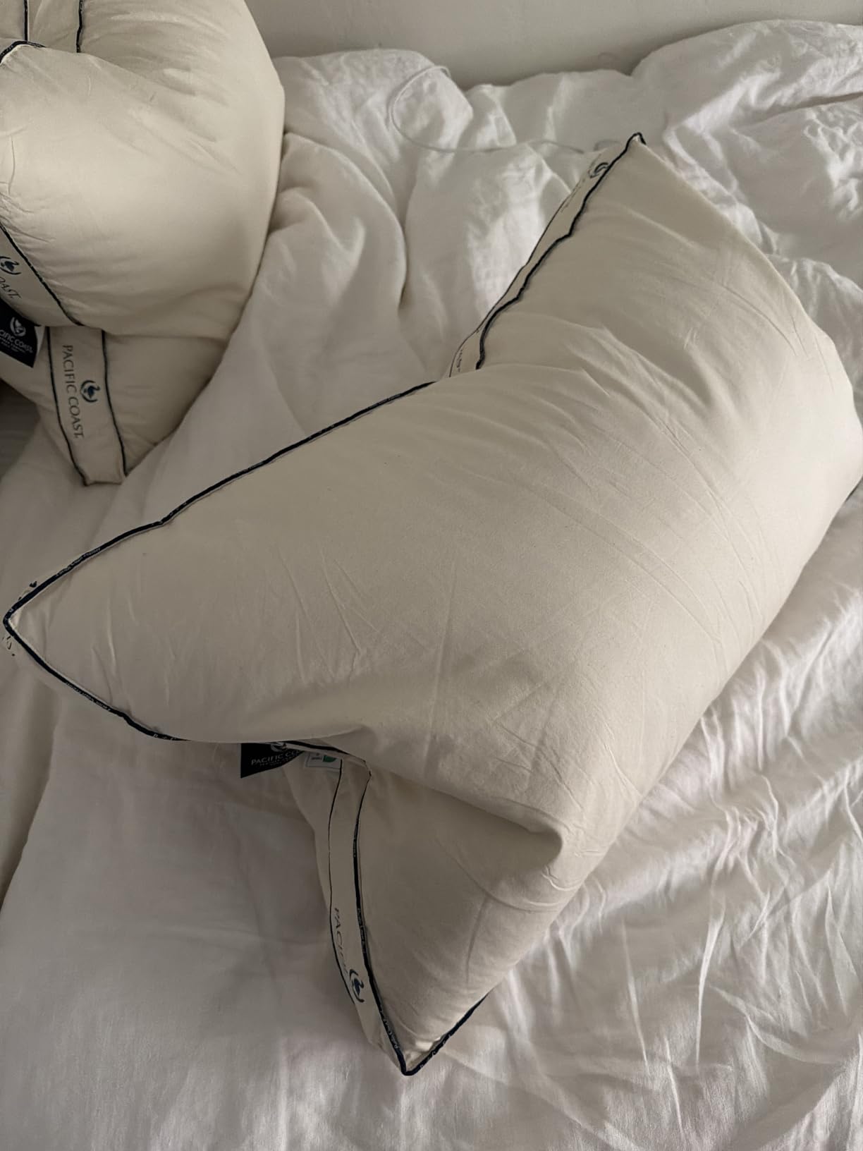Pacific Coast Goose Feather and Down Pillows, with 100% Organic Cotton Fabric, Standard Size Set of 2, Gusseted Design for Sleeping, Hotel Collection, Firm Pillows for Side and Back Sleepers customer photo 2