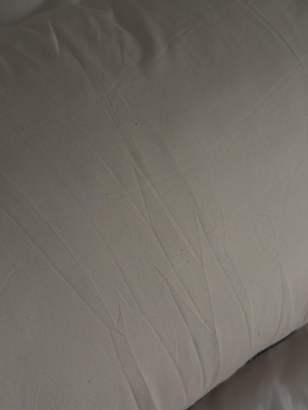 Pacific Coast Goose Feather and Down Bed Pillows for Side and Back Sleepers, King Size Set of 2, 100% Organic Cotton Fabric, Firm Pillows, Gusseted Pillows of Hotel Collection customer photo 1