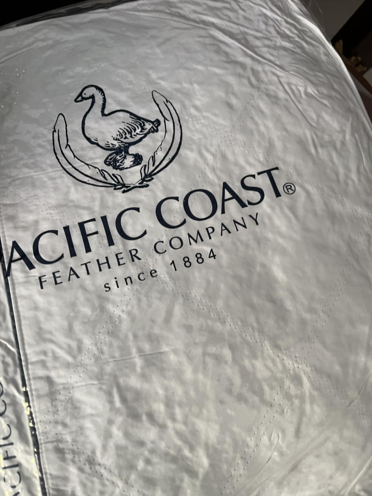 Pacific Coast Goose Feather and Down Firm Pillows King Size Set of 2, Bed Pillows for Side and Back Sleepers, Supportive Gusseted Hotel Collection Pillow with 100% Cotton Shell customer photo 1