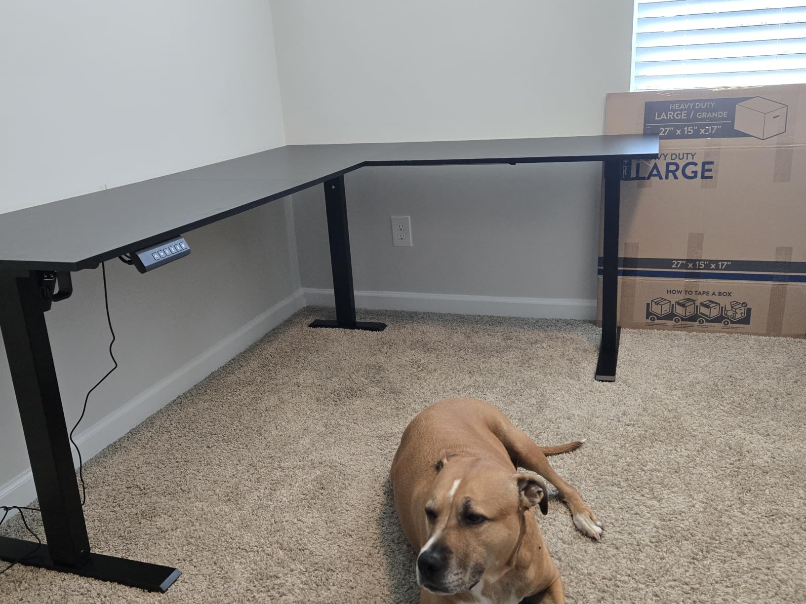 OffiGo 59 Inch L Shaped Electric Standing Desk with Drawers, Black customer photo 1