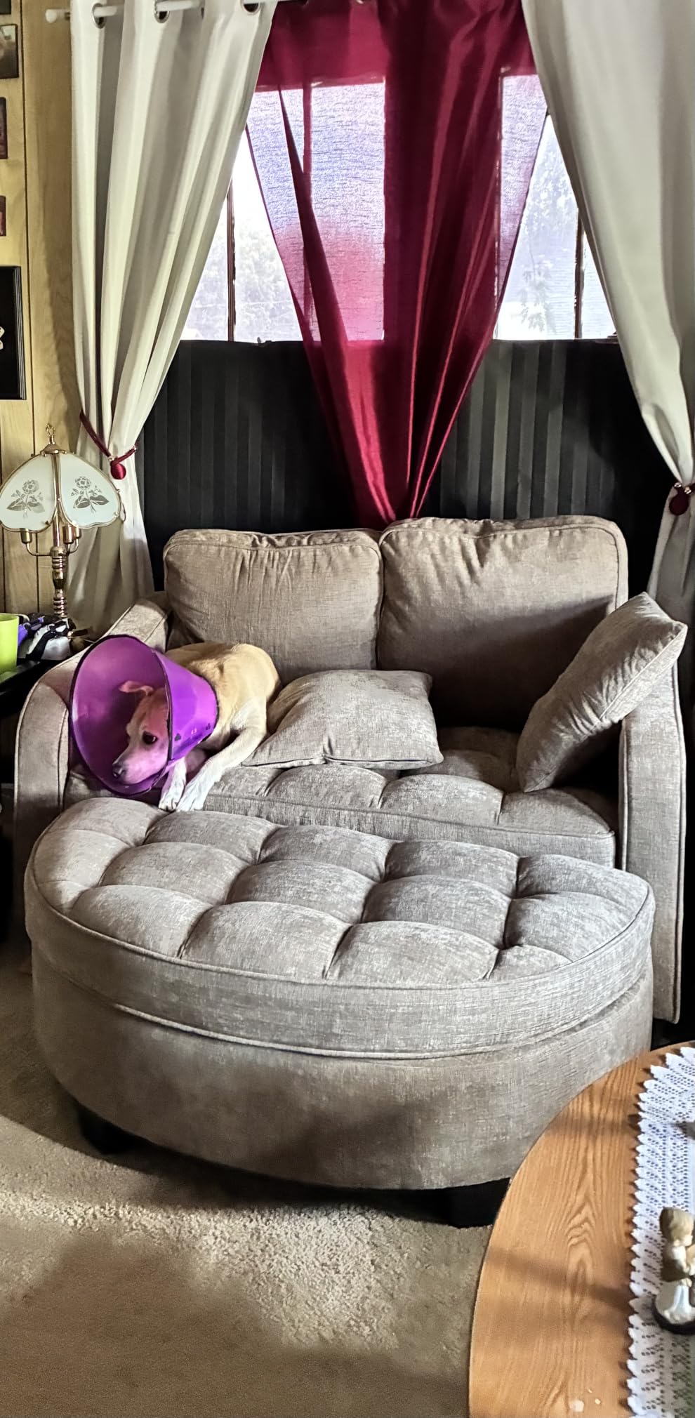 Oversized Chair and A Half, Chenille Tufting Accent Cozy Reading Sofa Chair with Storage Ottoman, Upholstered Loveseat Chaise Lounge Sofa with Adjustable Back for Living Room, Office, Sunroom, Brown customer photo 1