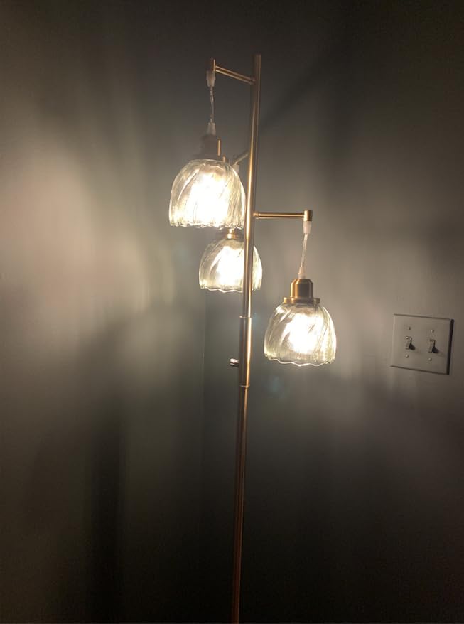 ROTTOGOON Dimmable Gold Floor Lamps for Living Room, Vintage Tree Standing Lamp with Glass Shades, 3 Light Mid Century Flower Floor Lamps for Bedroom, Office, 6W, Brushed Gold & Clear Shades customer photo 1